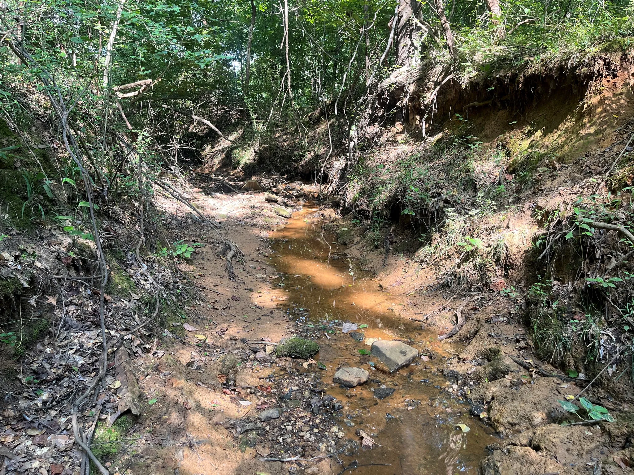 Unimproved Land For Sale in Cherokee County , TBD County Road 3303, Jacksonville, Texas 75766, 0, 0, Garage spaces, 0 Sqft, built in 0, mls#21348866, Real Estate Agent in Jacksonville, Homes For Sale in Cherokee county, Homes For Sale in Jacksonville, Realtor in Jacksonville Texas, Real Estate Brokerage Independent Realty Texas, Luminita Cordes Realtor