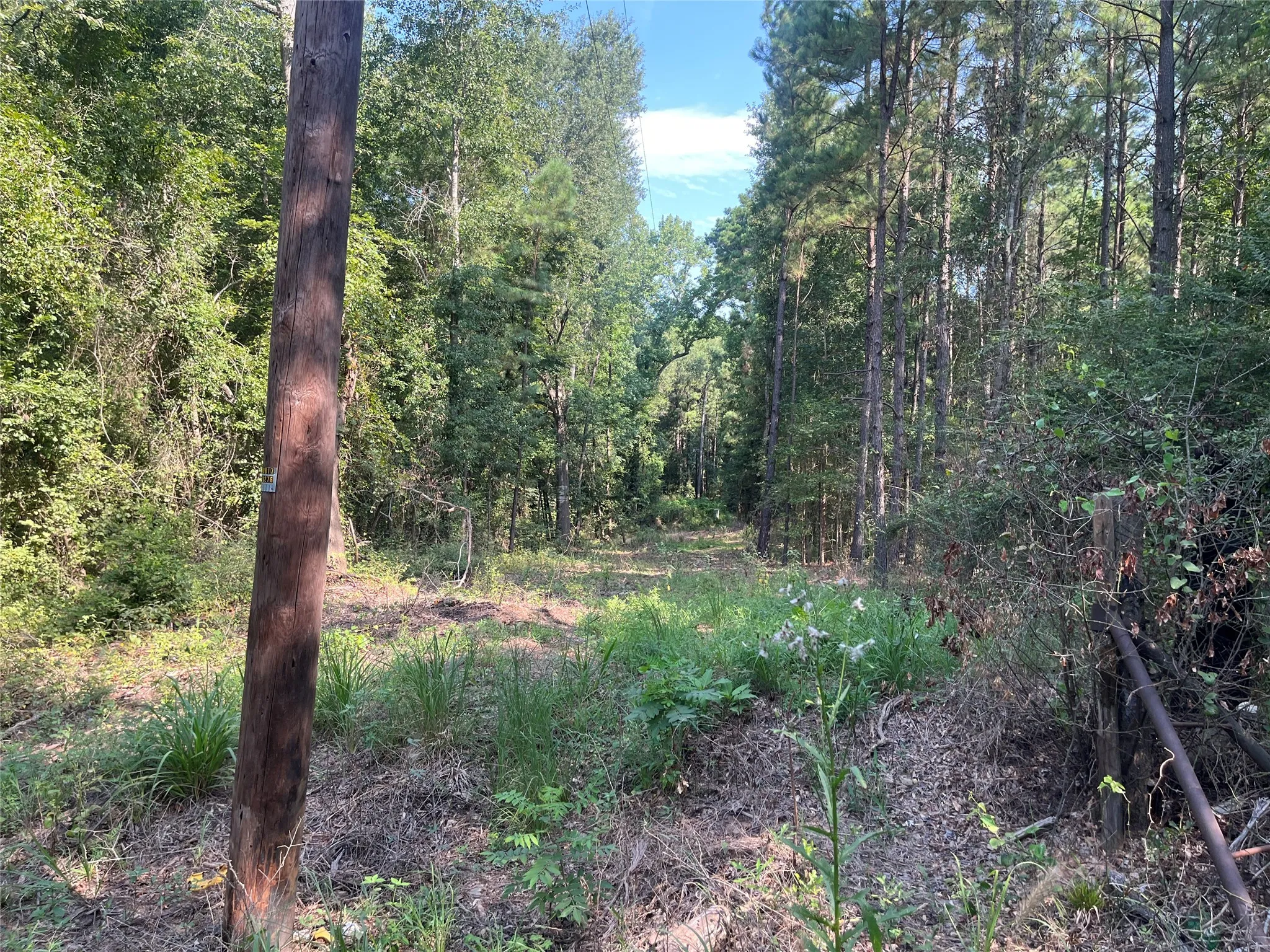 Unimproved Land For Sale in Cherokee County , TBD County Road 3303, Jacksonville, Texas 75766, 0, 0, Garage spaces, 0 Sqft, built in 0, mls#21348866, Real Estate Agent in Jacksonville, Homes For Sale in Cherokee county, Homes For Sale in Jacksonville, Realtor in Jacksonville Texas, Real Estate Brokerage Independent Realty Texas, Luminita Cordes Realtor