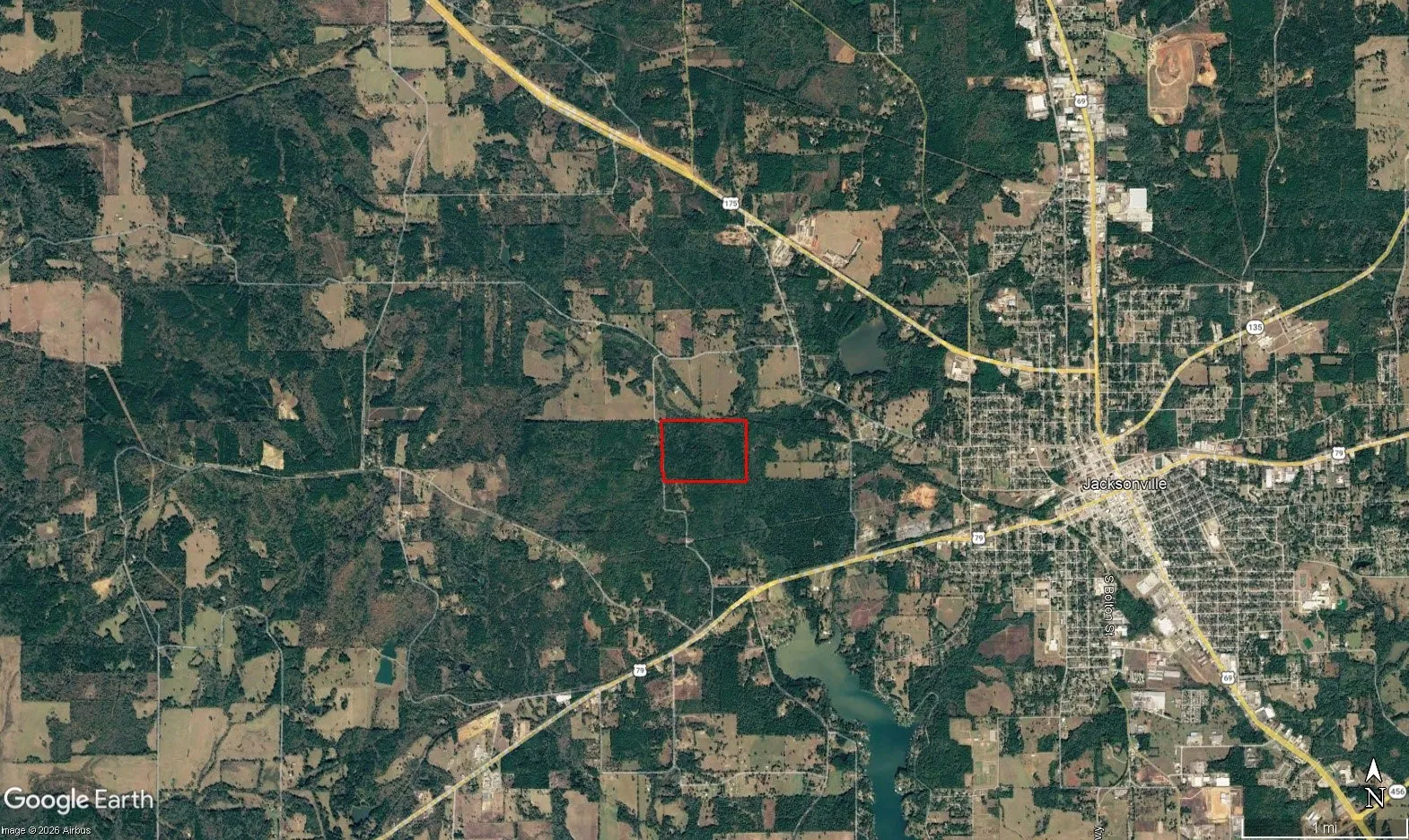 Unimproved Land For Sale in Cherokee County , TBD County Road 3303, Jacksonville, Texas 75766, 0, 0, Garage spaces, 0 Sqft, built in 0, mls#21348866, Real Estate Agent in Jacksonville, Homes For Sale in Cherokee county, Homes For Sale in Jacksonville, Realtor in Jacksonville Texas, Real Estate Brokerage Independent Realty Texas, Luminita Cordes Realtor