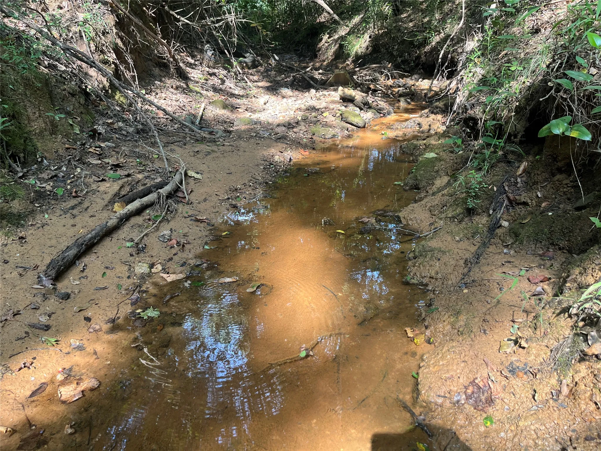 Unimproved Land For Sale in Cherokee County , TBD County Road 3303, Jacksonville, Texas 75766, 0, 0, Garage spaces, 0 Sqft, built in 0, mls#21348866, Real Estate Agent in Jacksonville, Homes For Sale in Cherokee county, Homes For Sale in Jacksonville, Realtor in Jacksonville Texas, Real Estate Brokerage Independent Realty Texas, Luminita Cordes Realtor