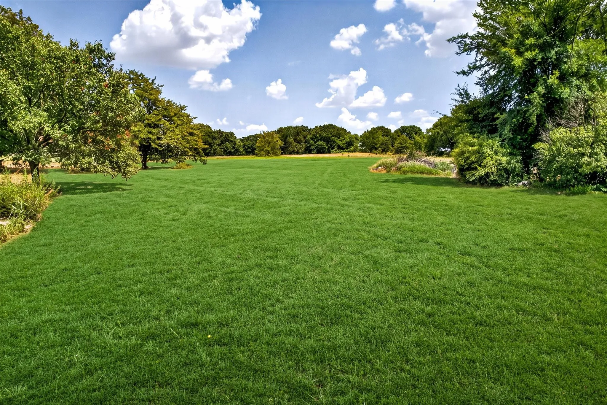 Expansive grassy area surrounded by mature trees, featuring a clear sky with scattered clouds