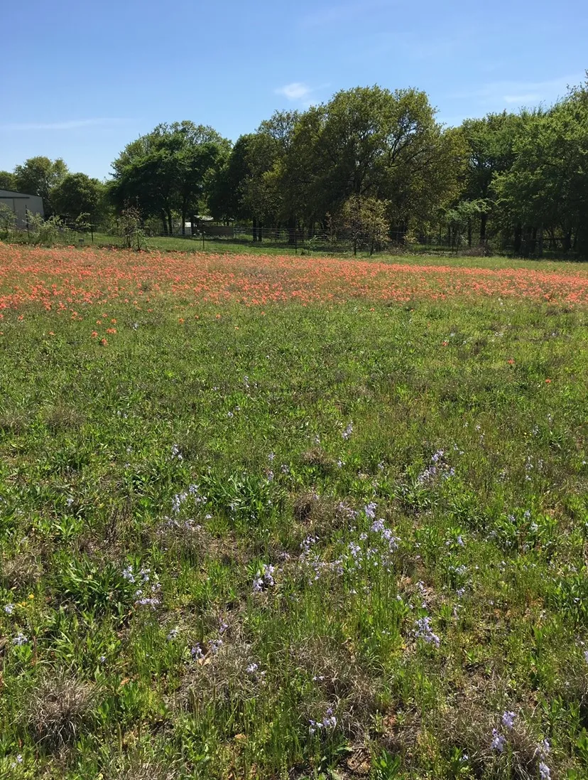 Improved Land For Sale in Denton County , 4571 Running Branch, Aubrey, Texas 76227, 0, 0, Garage spaces, 0 Sqft, built in 1991, Price $1,275,000, mls#21334165, Real Estate Agent in Aubrey, Homes For Sale in Denton county, Homes For Sale in Aubrey, Realtor in Aubrey Texas, Real Estate Brokerage Independent Realty Texas, Luminita Cordes Realtor