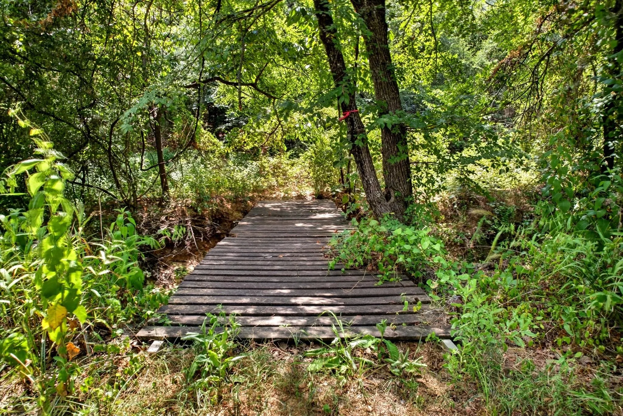 Improved Land For Sale in Denton County , 4571 Running Branch, Aubrey, Texas 76227, 0, 0, Garage spaces, 0 Sqft, built in 1991, Price $1,275,000, mls#21334165, Real Estate Agent in Aubrey, Homes For Sale in Denton county, Homes For Sale in Aubrey, Realtor in Aubrey Texas, Real Estate Brokerage Independent Realty Texas, Luminita Cordes Realtor