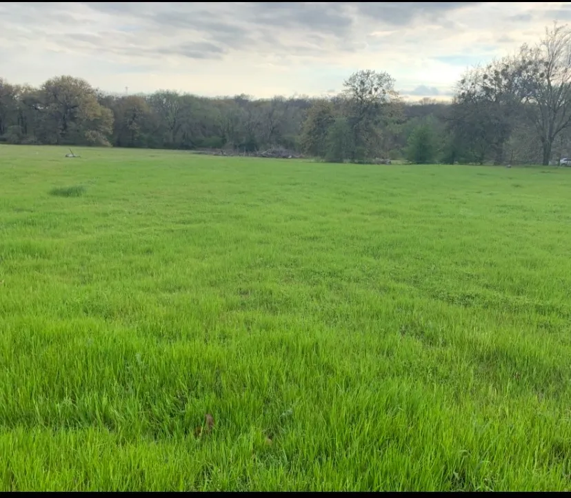 Improved Land For Sale in Denton County , 4571 Running Branch, Aubrey, Texas 76227, 0, 0, Garage spaces, 0 Sqft, built in 1991, Price $1,275,000, mls#21334165, Real Estate Agent in Aubrey, Homes For Sale in Denton county, Homes For Sale in Aubrey, Realtor in Aubrey Texas, Real Estate Brokerage Independent Realty Texas, Luminita Cordes Realtor