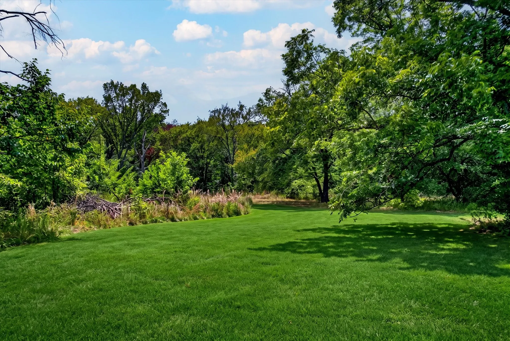 Expansive green lawn surrounded by mature trees, offering a private, natural setting