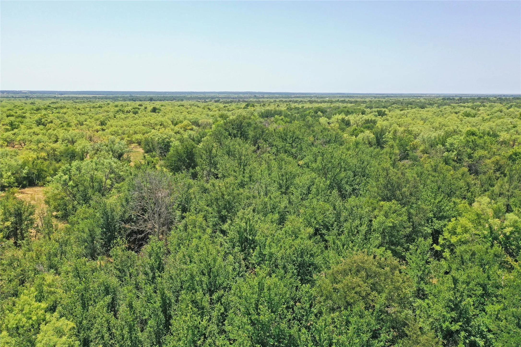 Ranch For Sale in Jack County , 480 Acres Tucker Road, Perrin, Texas 76486, 0, 0, Garage spaces, 0 Sqft, built in 0, Price $3,816,000, mls#21349038, Real Estate Agent in Perrin, Homes For Sale in Jack county, Homes For Sale in Perrin, Realtor in Perrin Texas, Real Estate Brokerage Independent Realty Texas, Luminita Cordes Realtor