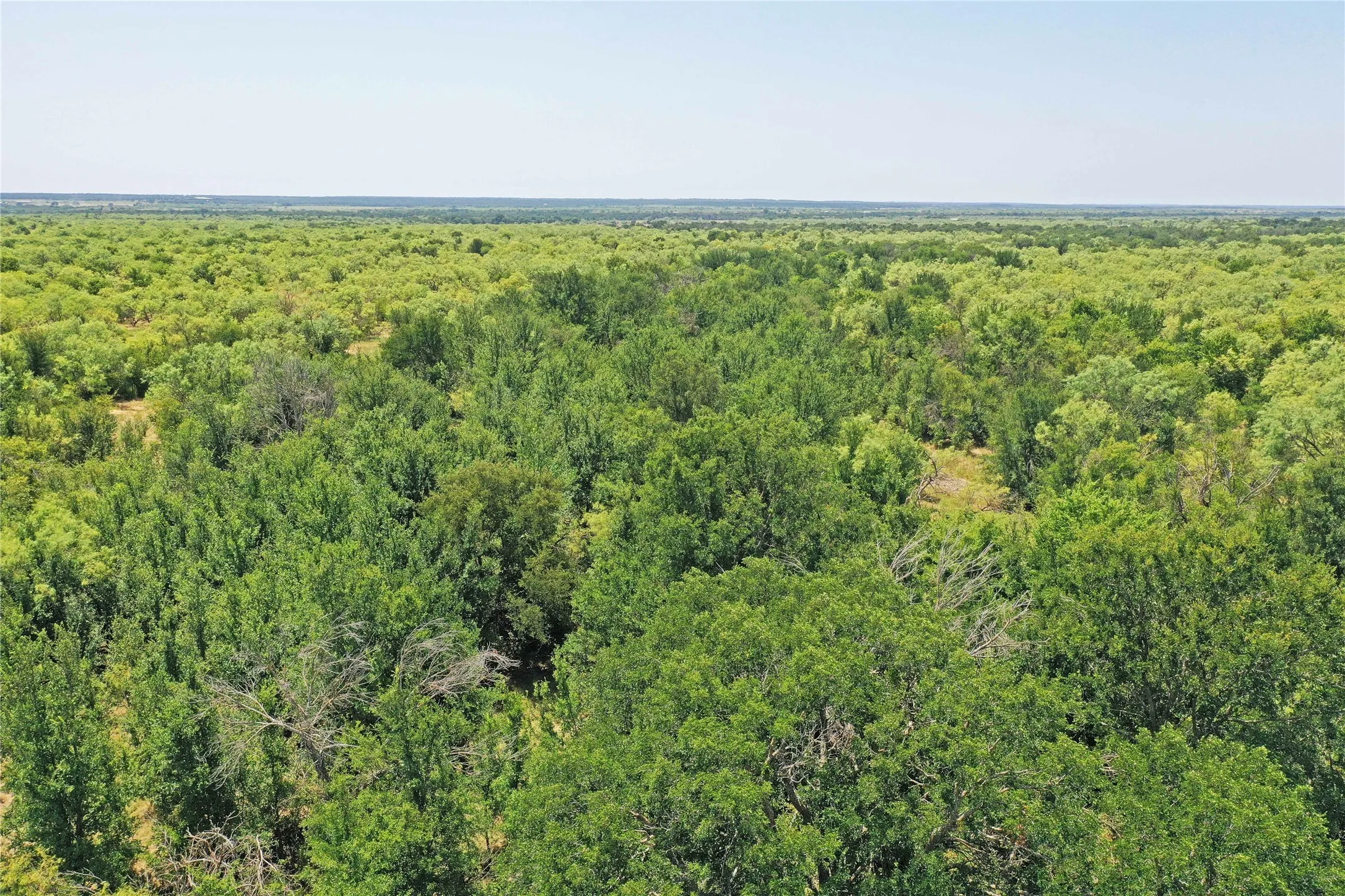 Ranch For Sale in Jack County , 480 Acres Tucker Road, Perrin, Texas 76486, 0, 0, Garage spaces, 0 Sqft, built in 0, Price $3,816,000, mls#21349038, Real Estate Agent in Perrin, Homes For Sale in Jack county, Homes For Sale in Perrin, Realtor in Perrin Texas, Real Estate Brokerage Independent Realty Texas, Luminita Cordes Realtor