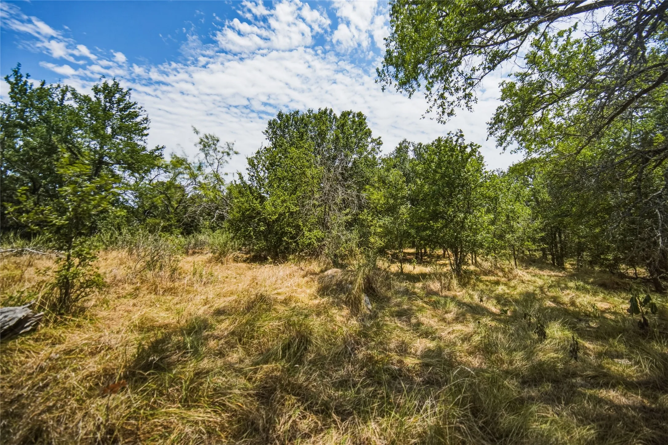 Ranch For Sale in Jack County , 480 Acres Tucker Road, Perrin, Texas 76486, 0, 0, Garage spaces, 0 Sqft, built in 0, Price $3,816,000, mls#21349038, Real Estate Agent in Perrin, Homes For Sale in Jack county, Homes For Sale in Perrin, Realtor in Perrin Texas, Real Estate Brokerage Independent Realty Texas, Luminita Cordes Realtor