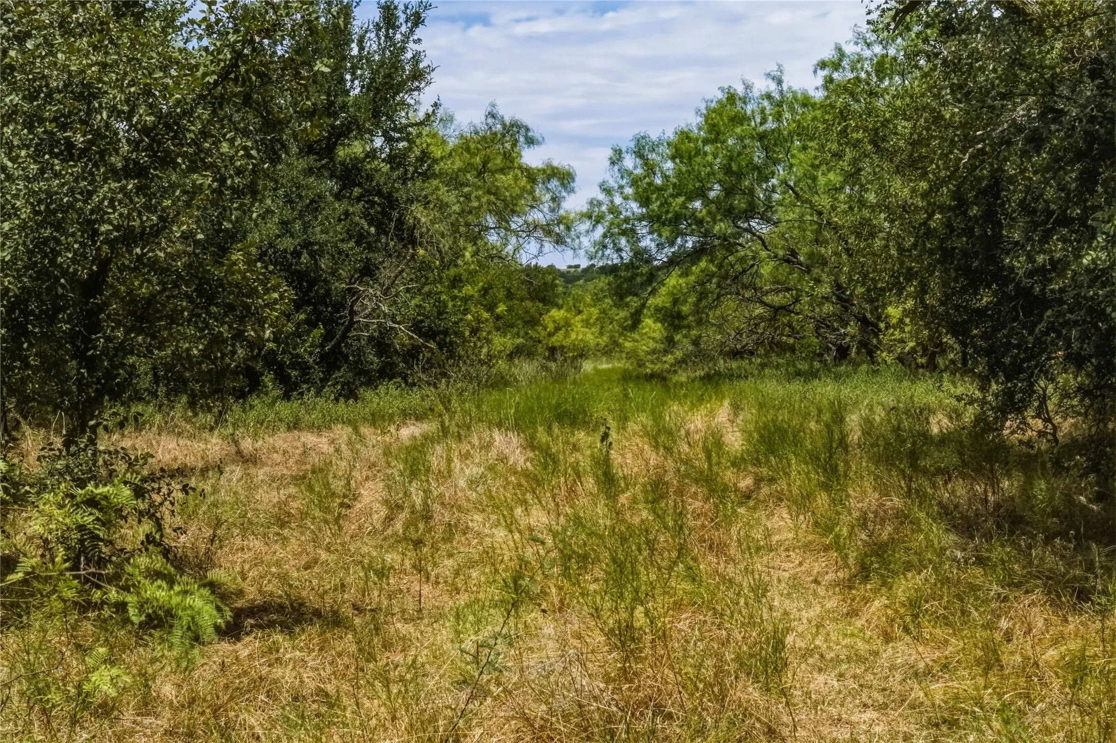 Ranch For Sale in Jack County , 480 Acres Tucker Road, Perrin, Texas 76486, 0, 0, Garage spaces, 0 Sqft, built in 0, Price $3,816,000, mls#21349038, Real Estate Agent in Perrin, Homes For Sale in Jack county, Homes For Sale in Perrin, Realtor in Perrin Texas, Real Estate Brokerage Independent Realty Texas, Luminita Cordes Realtor
