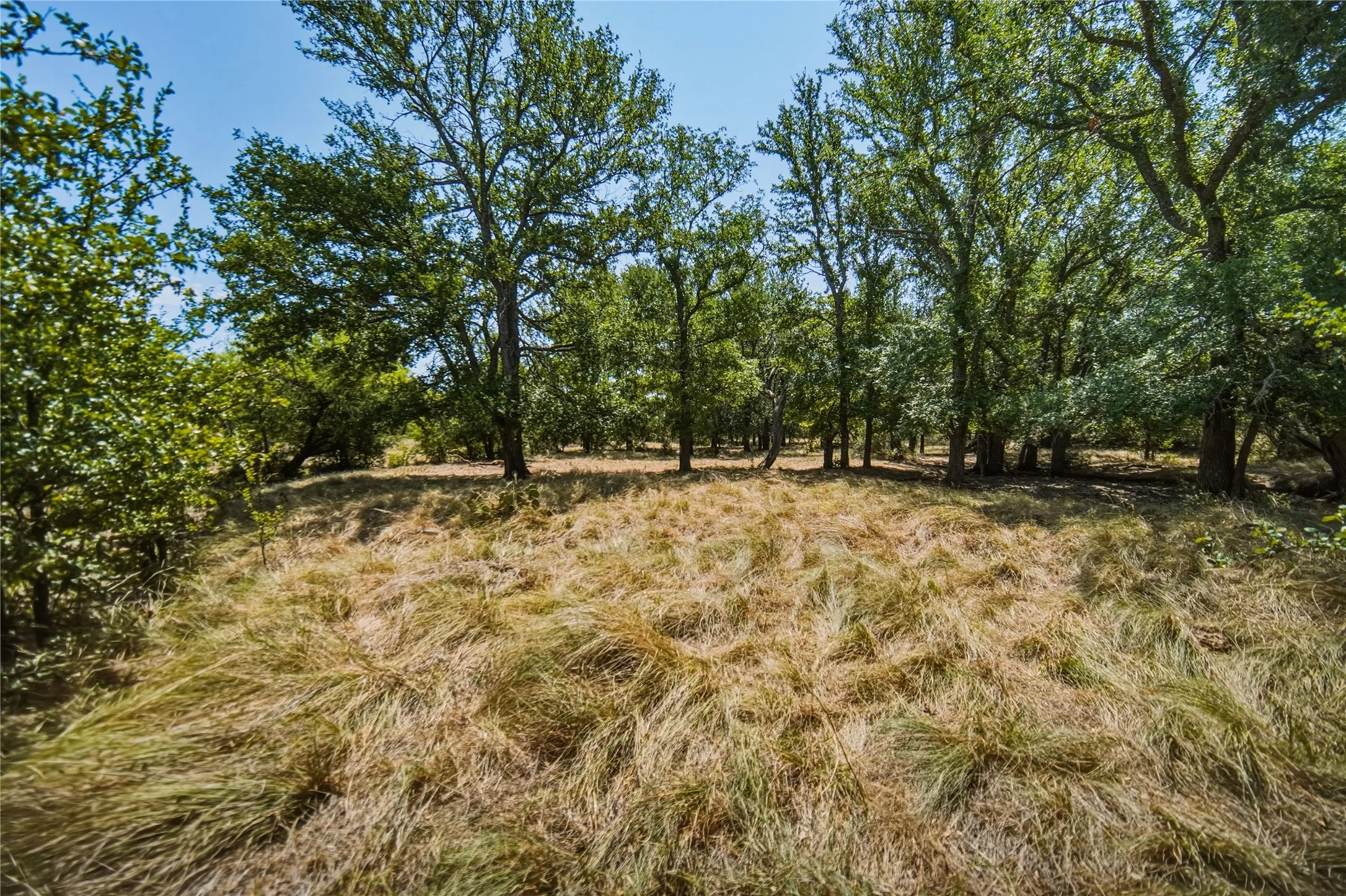 Ranch For Sale in Jack County , 480 Acres Tucker Road, Perrin, Texas 76486, 0, 0, Garage spaces, 0 Sqft, built in 0, Price $3,816,000, mls#21349038, Real Estate Agent in Perrin, Homes For Sale in Jack county, Homes For Sale in Perrin, Realtor in Perrin Texas, Real Estate Brokerage Independent Realty Texas, Luminita Cordes Realtor