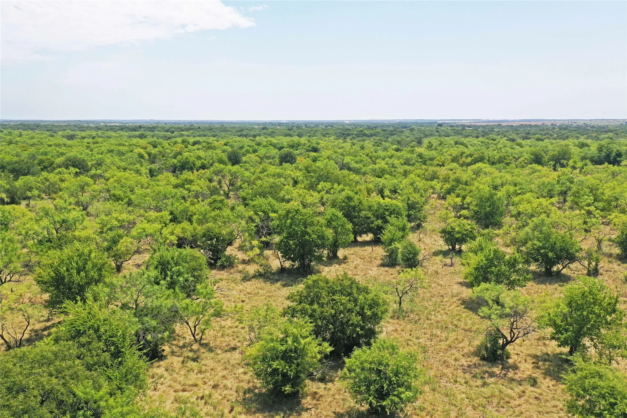 Ranch For Sale in Jack County , 480 Acres Tucker Road, Perrin, Texas 76486, 0, 0, Garage spaces, 0 Sqft, built in 0, Price $3,816,000, mls#21349038, Real Estate Agent in Perrin, Homes For Sale in Jack county, Homes For Sale in Perrin, Realtor in Perrin Texas, Real Estate Brokerage Independent Realty Texas, Luminita Cordes Realtor