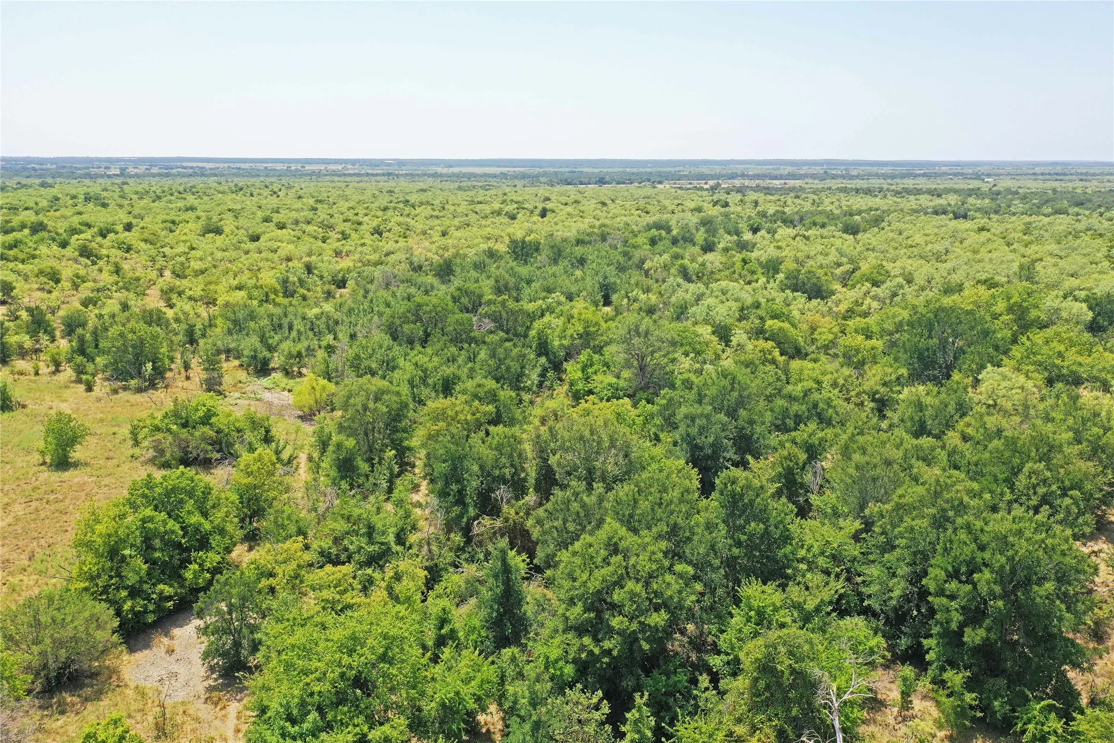 Ranch For Sale in Jack County , 480 Acres Tucker Road, Perrin, Texas 76486, 0, 0, Garage spaces, 0 Sqft, built in 0, Price $3,816,000, mls#21349038, Real Estate Agent in Perrin, Homes For Sale in Jack county, Homes For Sale in Perrin, Realtor in Perrin Texas, Real Estate Brokerage Independent Realty Texas, Luminita Cordes Realtor