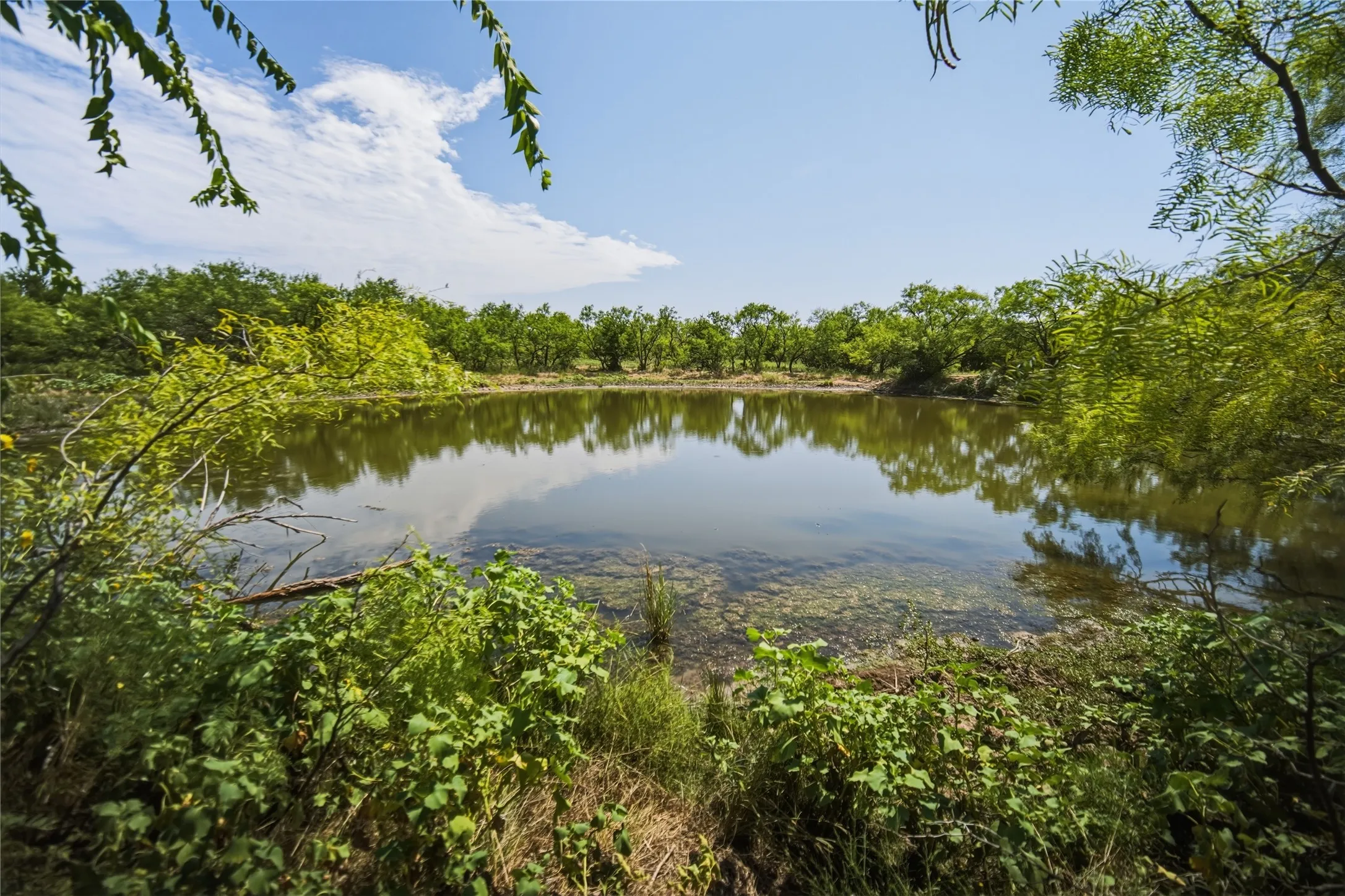 Ranch For Sale in Jack County , 480 Acres Tucker Road, Perrin, Texas 76486, 0, 0, Garage spaces, 0 Sqft, built in 0, Price $3,816,000, mls#21349038, Real Estate Agent in Perrin, Homes For Sale in Jack county, Homes For Sale in Perrin, Realtor in Perrin Texas, Real Estate Brokerage Independent Realty Texas, Luminita Cordes Realtor