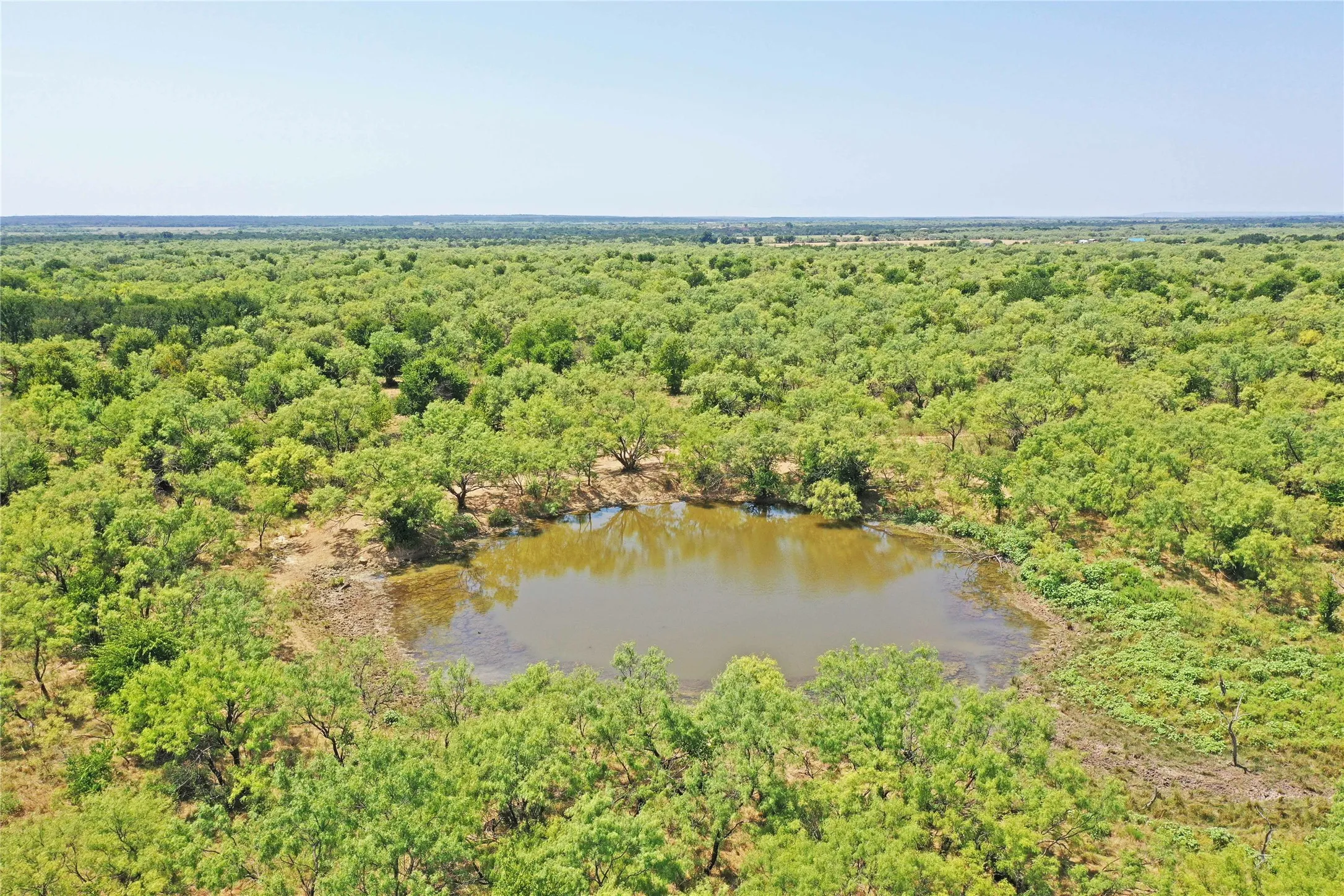Ranch For Sale in Jack County , 480 Acres Tucker Road, Perrin, Texas 76486, 0, 0, Garage spaces, 0 Sqft, built in 0, Price $3,816,000, mls#21349038, Real Estate Agent in Perrin, Homes For Sale in Jack county, Homes For Sale in Perrin, Realtor in Perrin Texas, Real Estate Brokerage Independent Realty Texas, Luminita Cordes Realtor