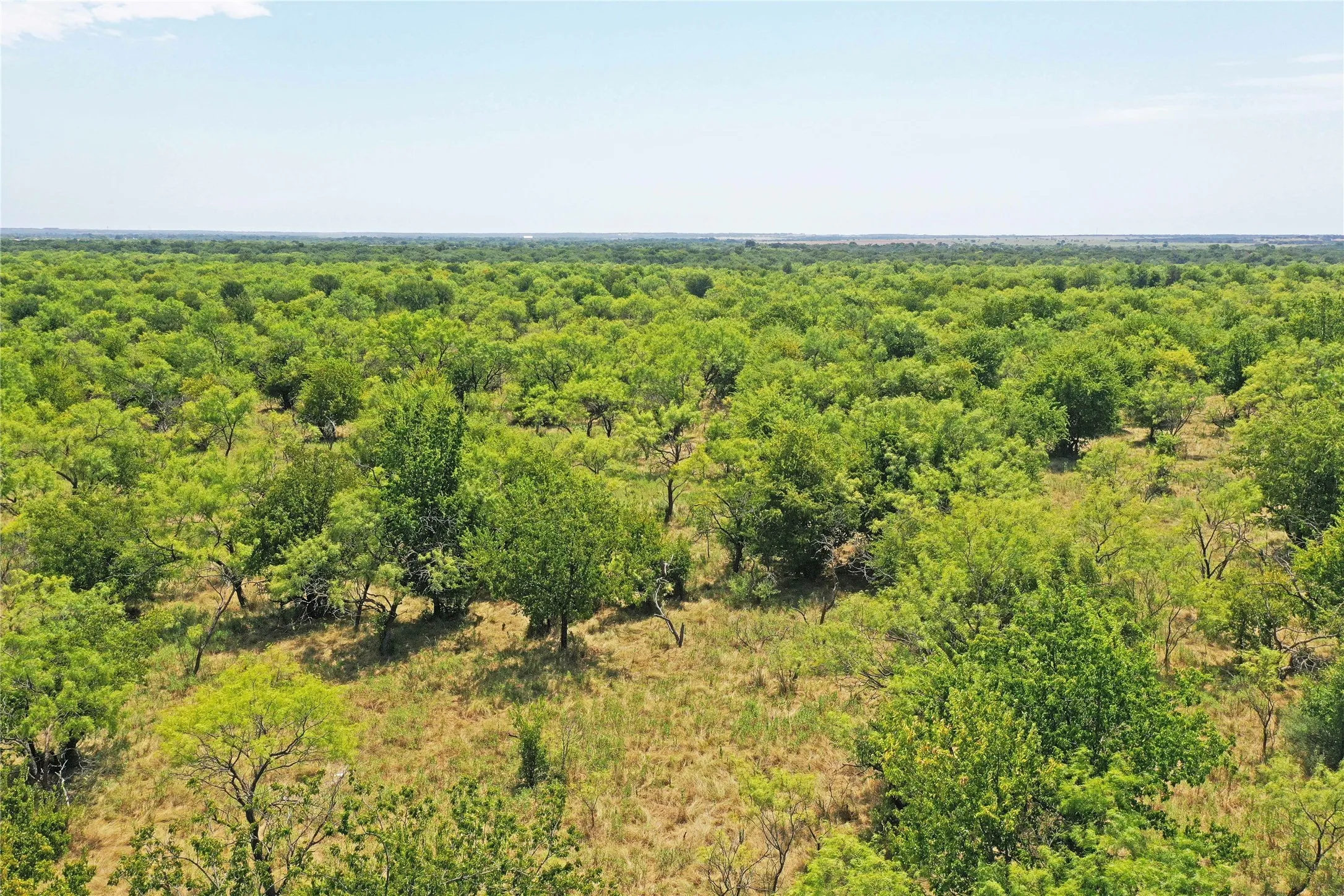 Ranch For Sale in Jack County , 480 Acres Tucker Road, Perrin, Texas 76486, 0, 0, Garage spaces, 0 Sqft, built in 0, Price $3,816,000, mls#21349038, Real Estate Agent in Perrin, Homes For Sale in Jack county, Homes For Sale in Perrin, Realtor in Perrin Texas, Real Estate Brokerage Independent Realty Texas, Luminita Cordes Realtor