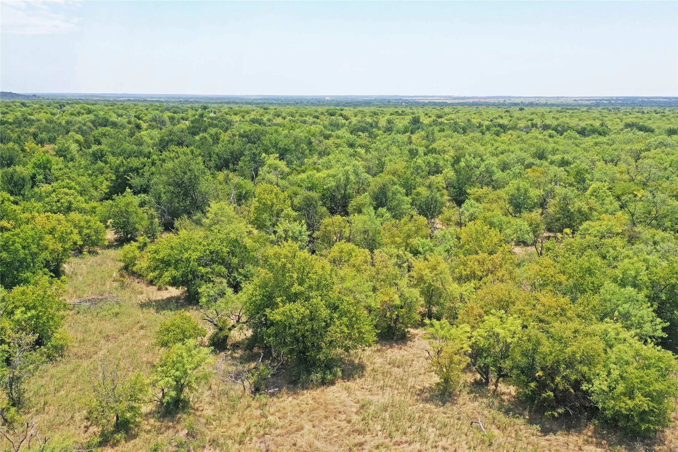 Ranch For Sale in Jack County , 480 Acres Tucker Road, Perrin, Texas 76486, 0, 0, Garage spaces, 0 Sqft, built in 0, Price $3,816,000, mls#21349038, Real Estate Agent in Perrin, Homes For Sale in Jack county, Homes For Sale in Perrin, Realtor in Perrin Texas, Real Estate Brokerage Independent Realty Texas, Luminita Cordes Realtor