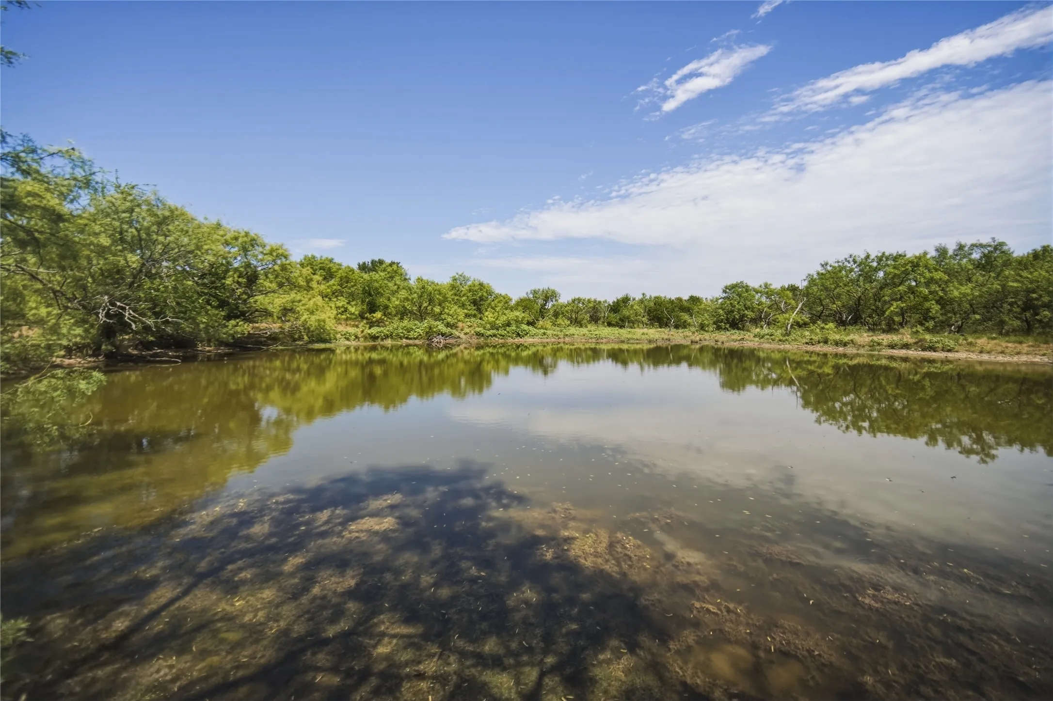 Ranch For Sale in Jack County , 480 Acres Tucker Road, Perrin, Texas 76486, 0, 0, Garage spaces, 0 Sqft, built in 0, Price $3,816,000, mls#21349038, Real Estate Agent in Perrin, Homes For Sale in Jack county, Homes For Sale in Perrin, Realtor in Perrin Texas, Real Estate Brokerage Independent Realty Texas, Luminita Cordes Realtor