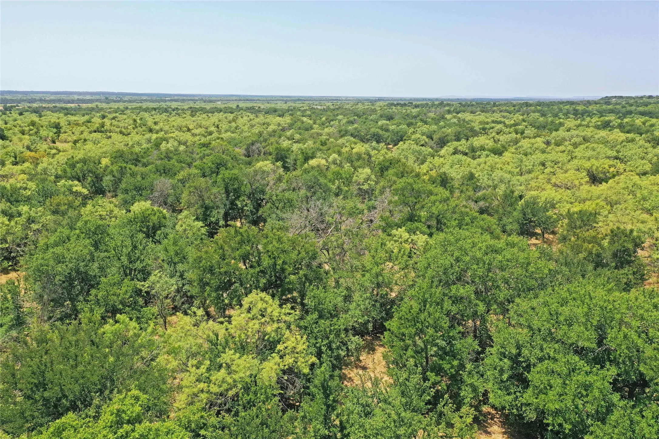 Ranch For Sale in Jack County , 480 Acres Tucker Road, Perrin, Texas 76486, 0, 0, Garage spaces, 0 Sqft, built in 0, Price $3,816,000, mls#21349038, Real Estate Agent in Perrin, Homes For Sale in Jack county, Homes For Sale in Perrin, Realtor in Perrin Texas, Real Estate Brokerage Independent Realty Texas, Luminita Cordes Realtor