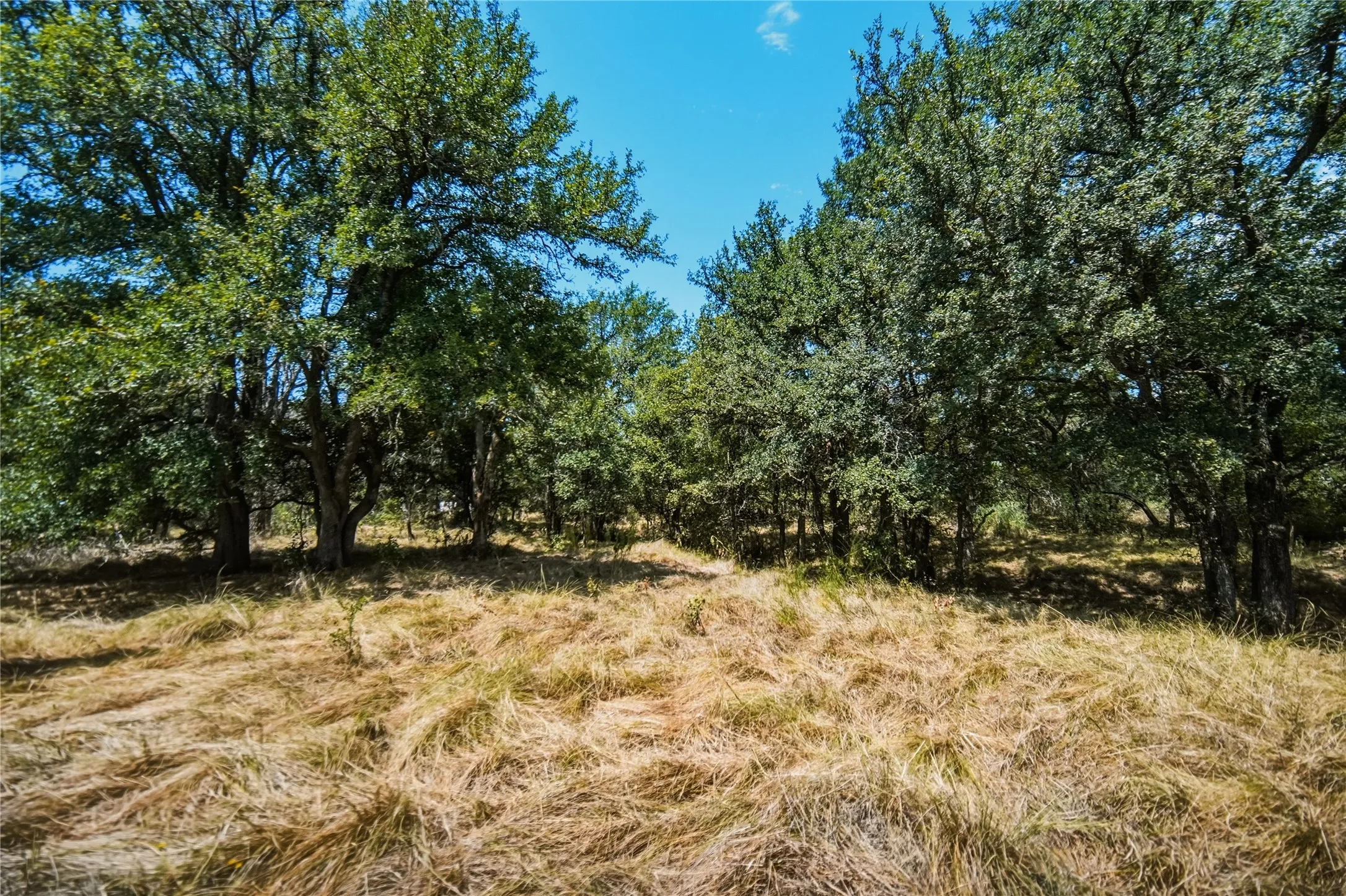 Ranch For Sale in Jack County , 480 Acres Tucker Road, Perrin, Texas 76486, 0, 0, Garage spaces, 0 Sqft, built in 0, Price $3,816,000, mls#21349038, Real Estate Agent in Perrin, Homes For Sale in Jack county, Homes For Sale in Perrin, Realtor in Perrin Texas, Real Estate Brokerage Independent Realty Texas, Luminita Cordes Realtor