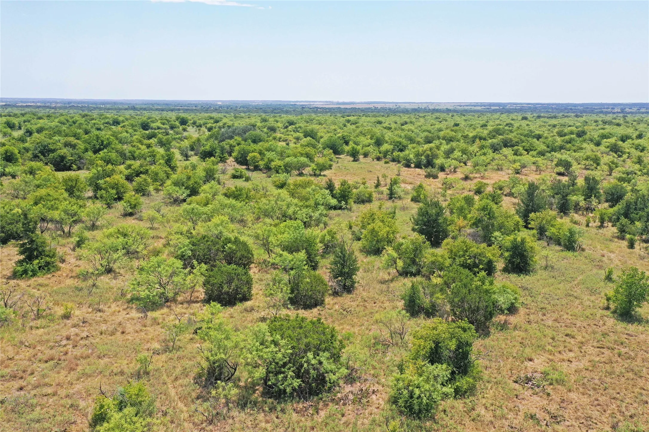 Ranch For Sale in Jack County , 480 Acres Tucker Road, Perrin, Texas 76486, 0, 0, Garage spaces, 0 Sqft, built in 0, Price $3,816,000, mls#21349038, Real Estate Agent in Perrin, Homes For Sale in Jack county, Homes For Sale in Perrin, Realtor in Perrin Texas, Real Estate Brokerage Independent Realty Texas, Luminita Cordes Realtor