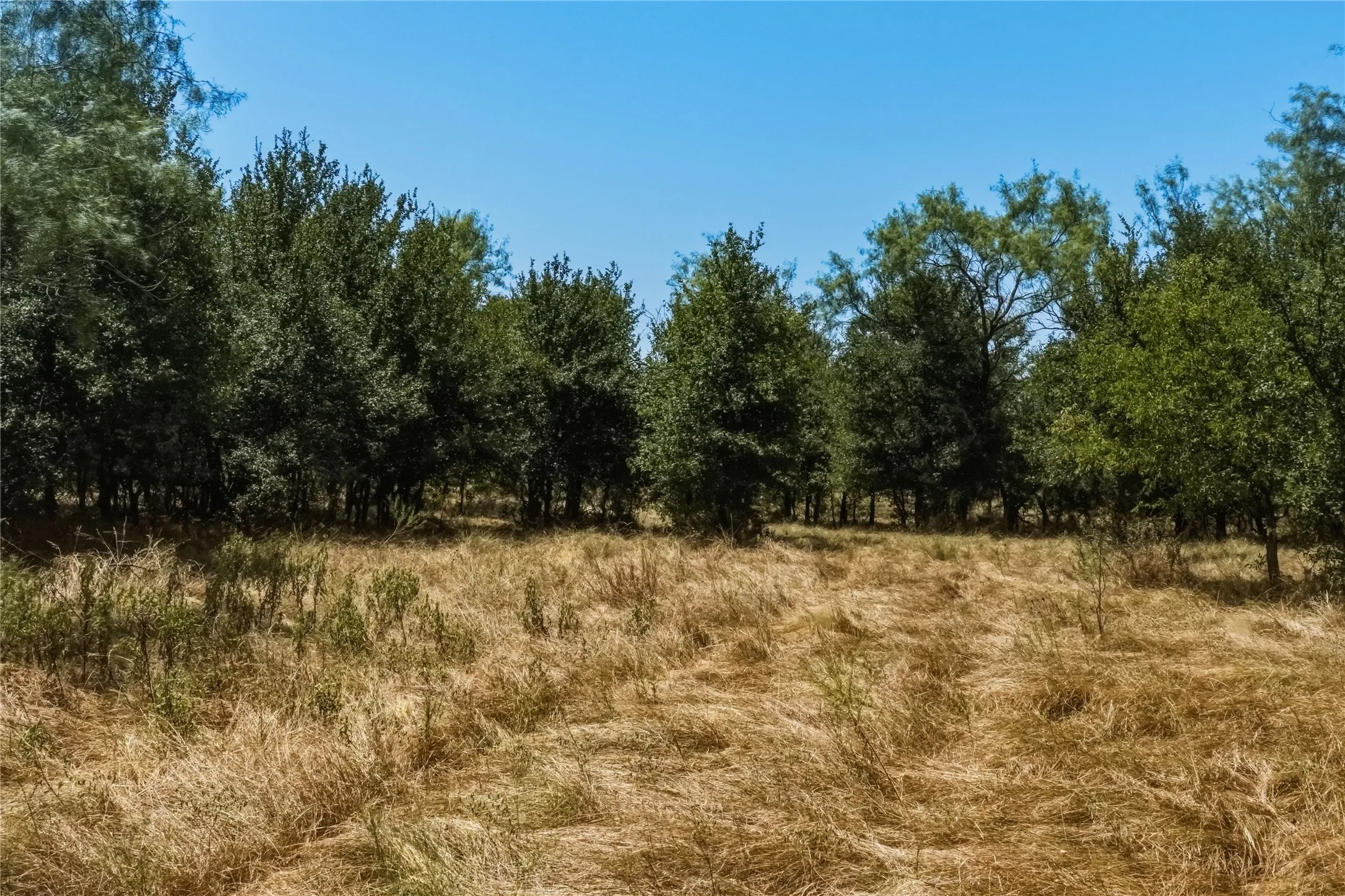 Ranch For Sale in Jack County , 480 Acres Tucker Road, Perrin, Texas 76486, 0, 0, Garage spaces, 0 Sqft, built in 0, Price $3,816,000, mls#21349038, Real Estate Agent in Perrin, Homes For Sale in Jack county, Homes For Sale in Perrin, Realtor in Perrin Texas, Real Estate Brokerage Independent Realty Texas, Luminita Cordes Realtor