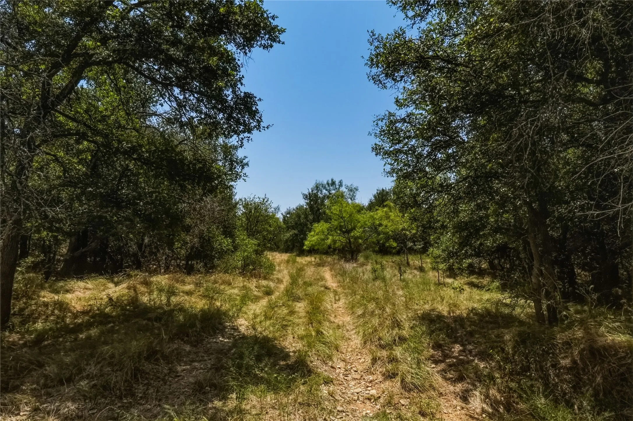 Ranch For Sale in Jack County , 480 Acres Tucker Road, Perrin, Texas 76486, 0, 0, Garage spaces, 0 Sqft, built in 0, Price $3,816,000, mls#21349038, Real Estate Agent in Perrin, Homes For Sale in Jack county, Homes For Sale in Perrin, Realtor in Perrin Texas, Real Estate Brokerage Independent Realty Texas, Luminita Cordes Realtor