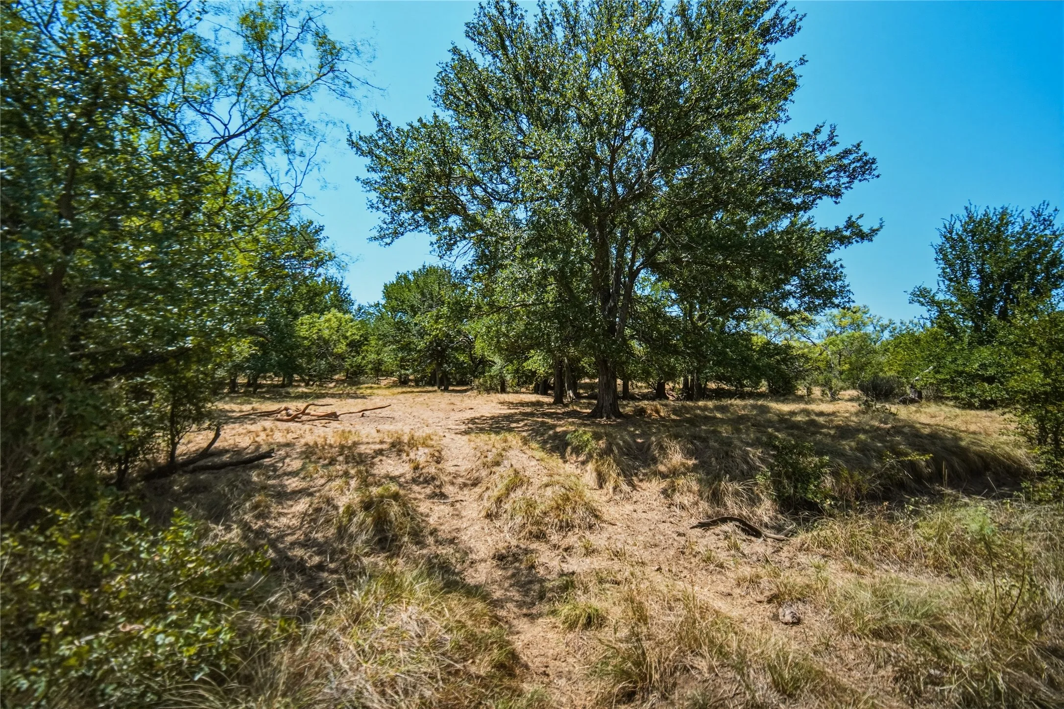 Ranch For Sale in Jack County , 480 Acres Tucker Road, Perrin, Texas 76486, 0, 0, Garage spaces, 0 Sqft, built in 0, Price $3,816,000, mls#21349038, Real Estate Agent in Perrin, Homes For Sale in Jack county, Homes For Sale in Perrin, Realtor in Perrin Texas, Real Estate Brokerage Independent Realty Texas, Luminita Cordes Realtor
