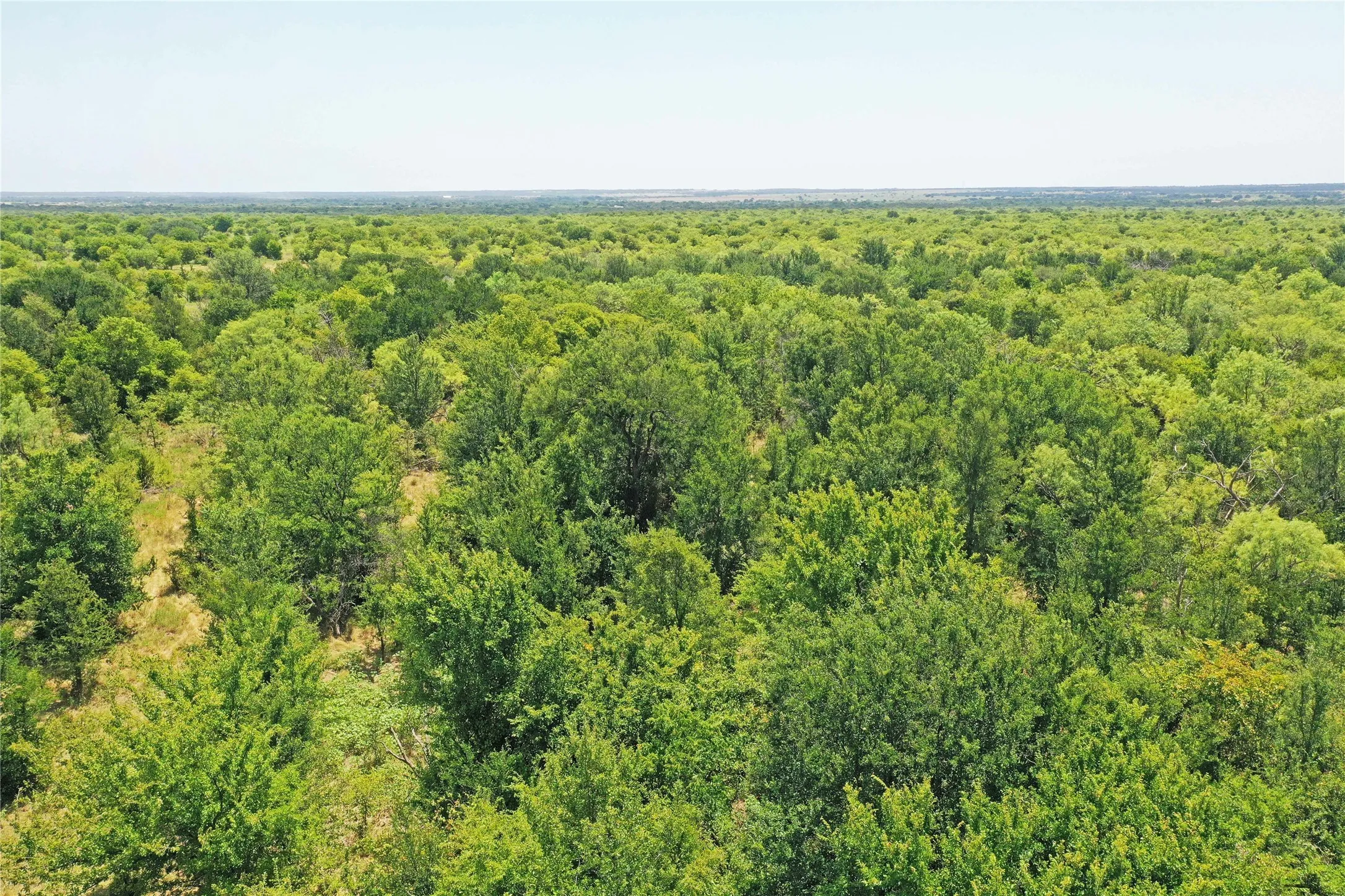 Ranch For Sale in Jack County , 480 Acres Tucker Road, Perrin, Texas 76486, 0, 0, Garage spaces, 0 Sqft, built in 0, Price $3,816,000, mls#21349038, Real Estate Agent in Perrin, Homes For Sale in Jack county, Homes For Sale in Perrin, Realtor in Perrin Texas, Real Estate Brokerage Independent Realty Texas, Luminita Cordes Realtor