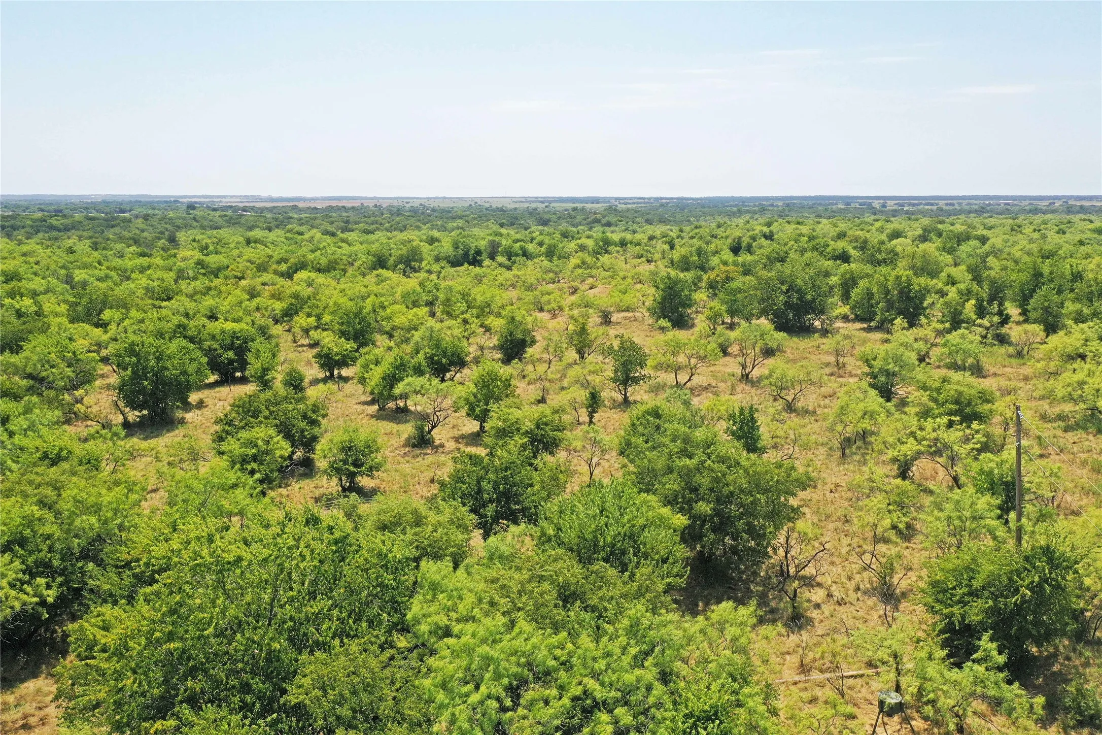 Ranch For Sale in Jack County , 480 Acres Tucker Road, Perrin, Texas 76486, 0, 0, Garage spaces, 0 Sqft, built in 0, Price $3,816,000, mls#21349038, Real Estate Agent in Perrin, Homes For Sale in Jack county, Homes For Sale in Perrin, Realtor in Perrin Texas, Real Estate Brokerage Independent Realty Texas, Luminita Cordes Realtor