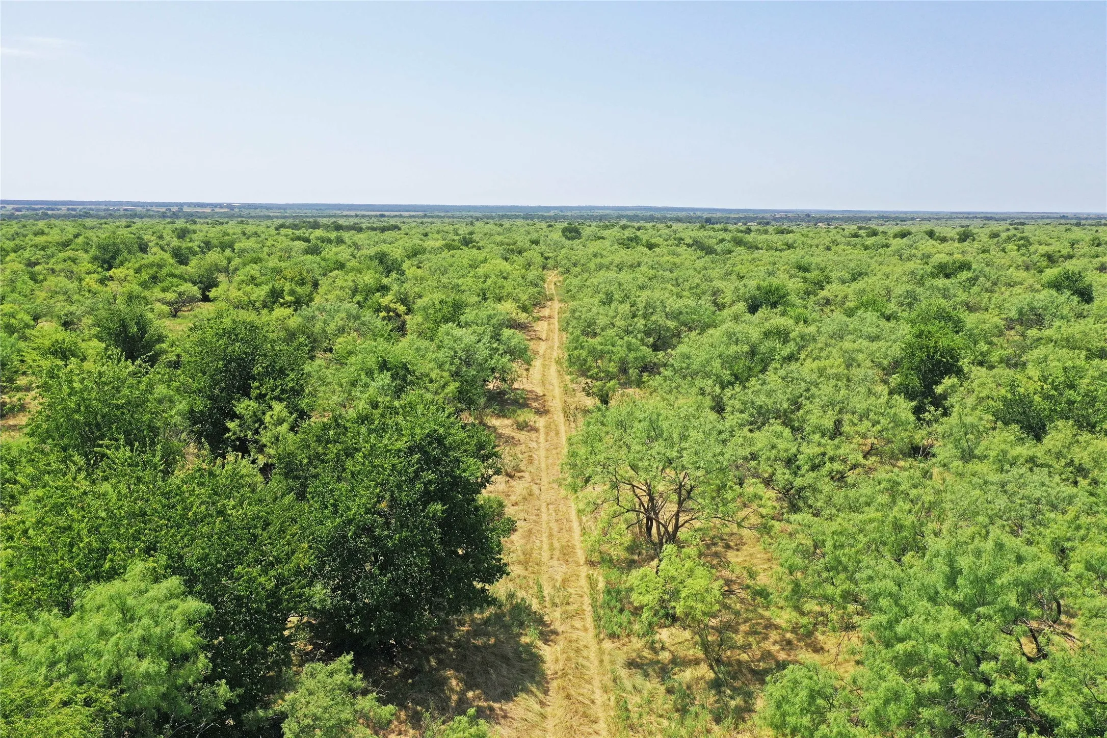 Ranch For Sale in Jack County , 480 Acres Tucker Road, Perrin, Texas 76486, 0, 0, Garage spaces, 0 Sqft, built in 0, Price $3,816,000, mls#21349038, Real Estate Agent in Perrin, Homes For Sale in Jack county, Homes For Sale in Perrin, Realtor in Perrin Texas, Real Estate Brokerage Independent Realty Texas, Luminita Cordes Realtor