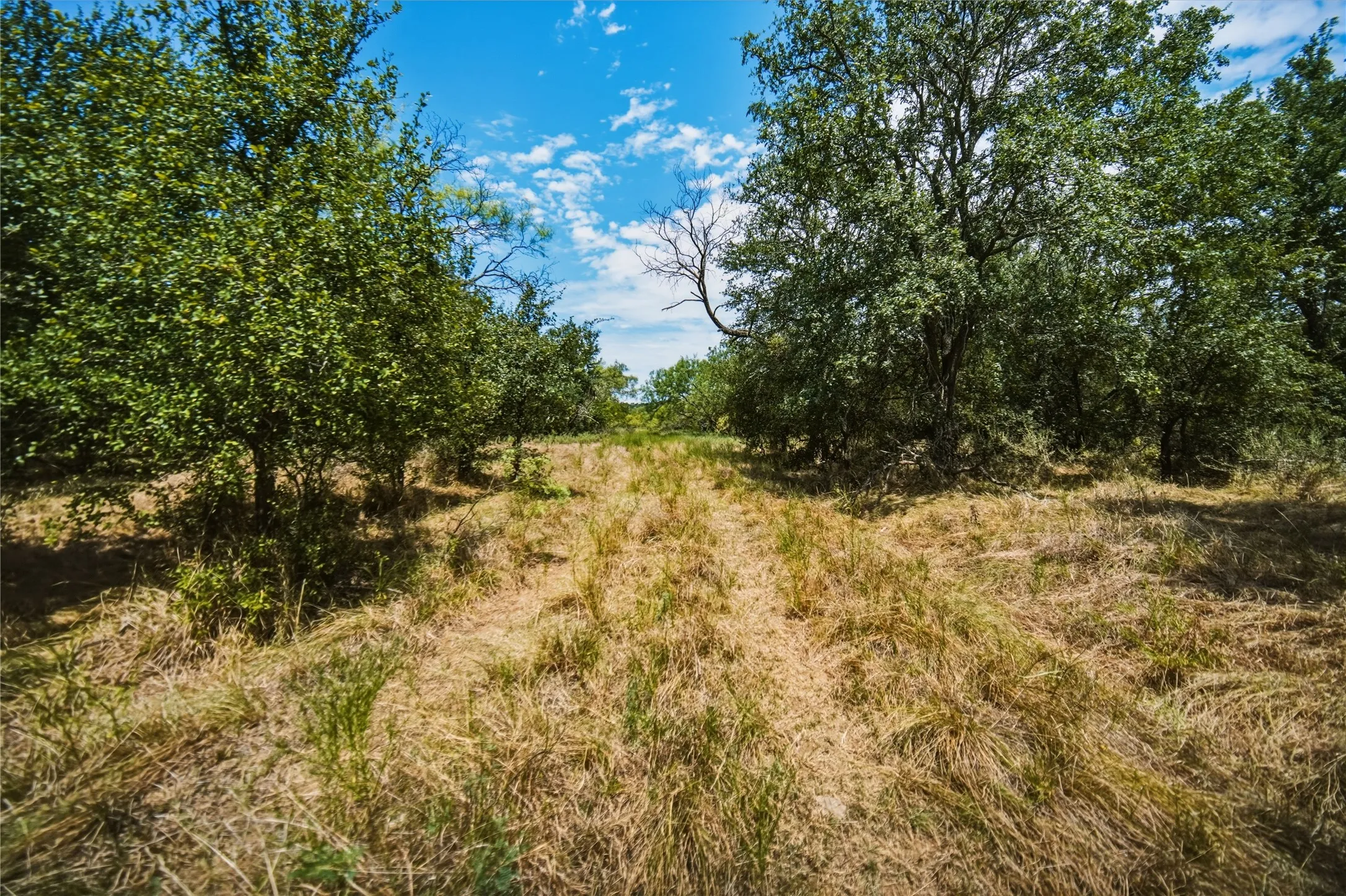 Ranch For Sale in Jack County , 480 Acres Tucker Road, Perrin, Texas 76486, 0, 0, Garage spaces, 0 Sqft, built in 0, Price $3,816,000, mls#21349038, Real Estate Agent in Perrin, Homes For Sale in Jack county, Homes For Sale in Perrin, Realtor in Perrin Texas, Real Estate Brokerage Independent Realty Texas, Luminita Cordes Realtor
