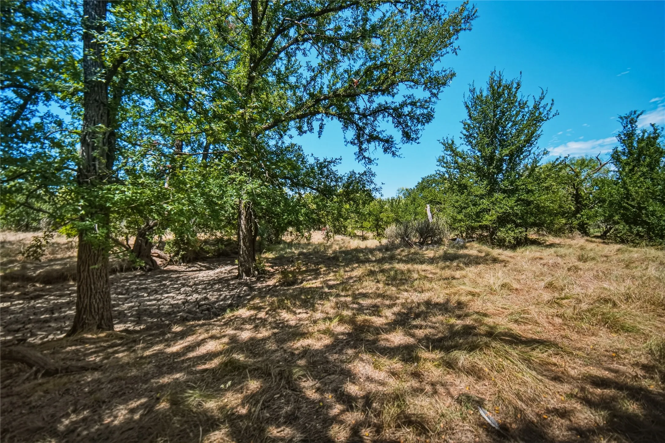 Ranch For Sale in Jack County , 480 Acres Tucker Road, Perrin, Texas 76486, 0, 0, Garage spaces, 0 Sqft, built in 0, Price $3,816,000, mls#21349038, Real Estate Agent in Perrin, Homes For Sale in Jack county, Homes For Sale in Perrin, Realtor in Perrin Texas, Real Estate Brokerage Independent Realty Texas, Luminita Cordes Realtor