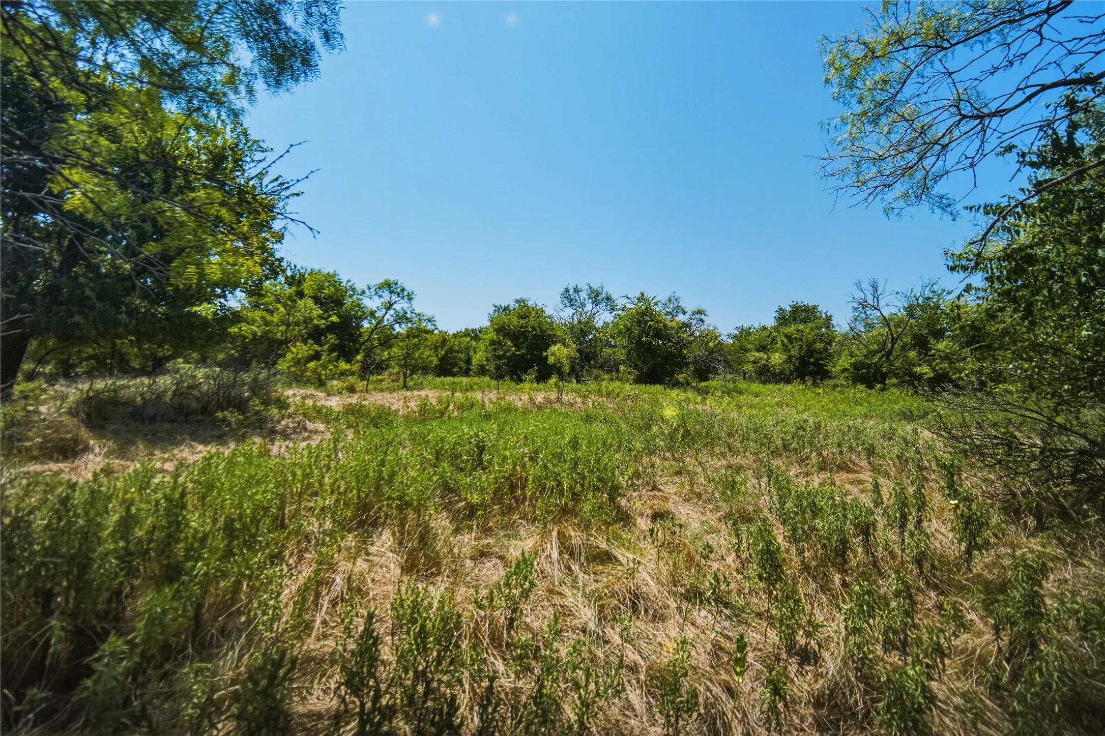 Ranch For Sale in Jack County , 480 Acres Tucker Road, Perrin, Texas 76486, 0, 0, Garage spaces, 0 Sqft, built in 0, Price $3,816,000, mls#21349038, Real Estate Agent in Perrin, Homes For Sale in Jack county, Homes For Sale in Perrin, Realtor in Perrin Texas, Real Estate Brokerage Independent Realty Texas, Luminita Cordes Realtor