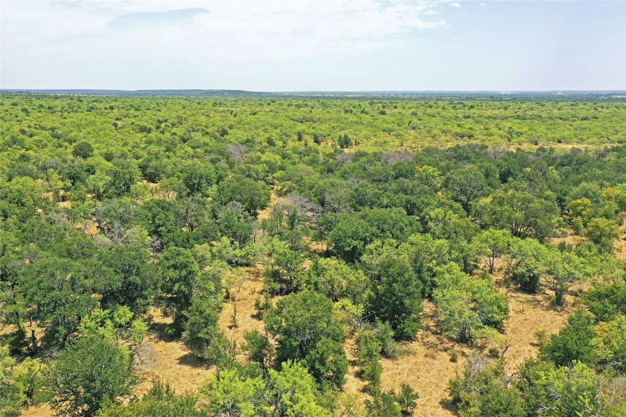 Ranch For Sale in Jack County , 480 Acres Tucker Road, Perrin, Texas 76486, 0, 0, Garage spaces, 0 Sqft, built in 0, Price $3,816,000, mls#21349038, Real Estate Agent in Perrin, Homes For Sale in Jack county, Homes For Sale in Perrin, Realtor in Perrin Texas, Real Estate Brokerage Independent Realty Texas, Luminita Cordes Realtor