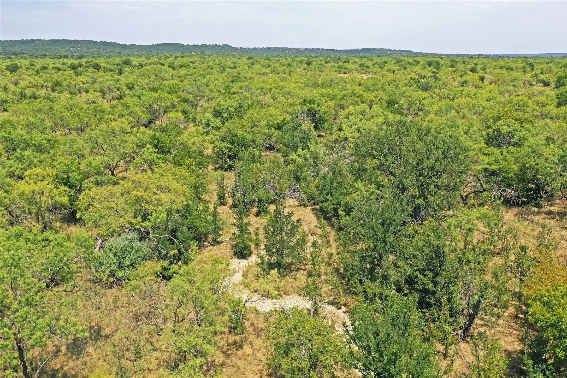 Ranch For Sale in Jack County , 480 Acres Tucker Road, Perrin, Texas 76486, 0, 0, Garage spaces, 0 Sqft, built in 0, Price $3,816,000, mls#21349038, Real Estate Agent in Perrin, Homes For Sale in Jack county, Homes For Sale in Perrin, Realtor in Perrin Texas, Real Estate Brokerage Independent Realty Texas, Luminita Cordes Realtor