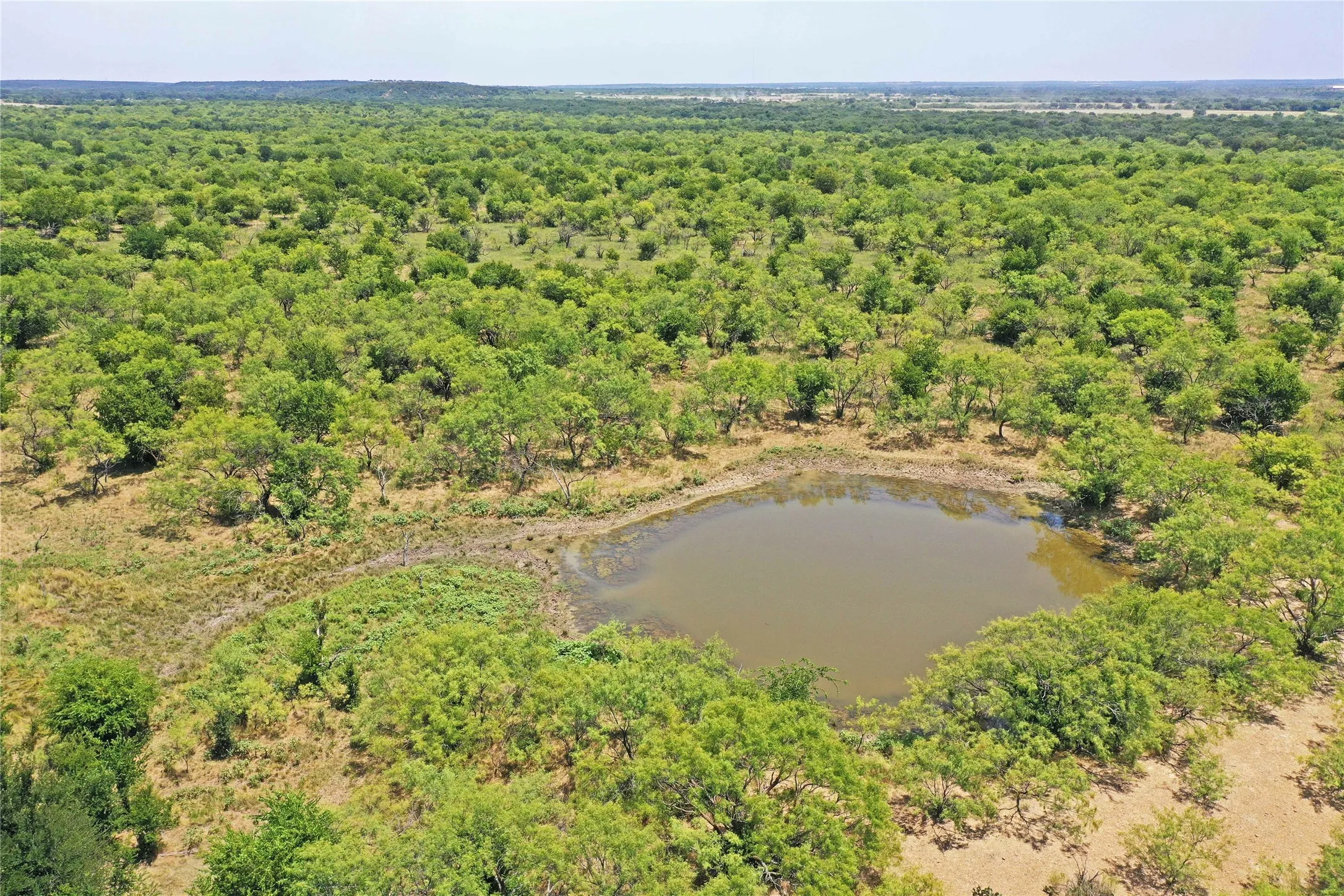 Ranch For Sale in Jack County , 480 Acres Tucker Road, Perrin, Texas 76486, 0, 0, Garage spaces, 0 Sqft, built in 0, Price $3,816,000, mls#21349038, Real Estate Agent in Perrin, Homes For Sale in Jack county, Homes For Sale in Perrin, Realtor in Perrin Texas, Real Estate Brokerage Independent Realty Texas, Luminita Cordes Realtor