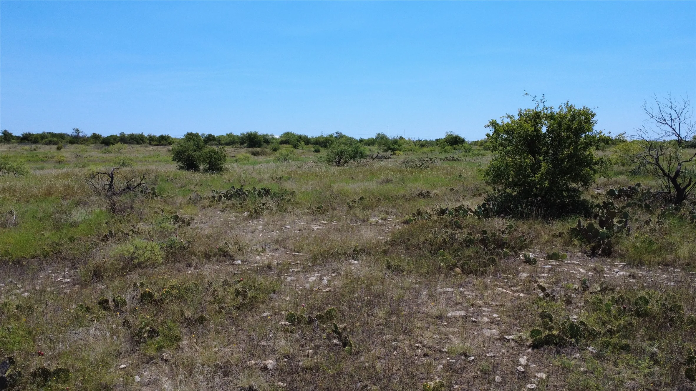 Unimproved Land For Sale in Brown County , 0000 County Road 161, Bangs, Texas 76823, 0, 0, Garage spaces, 0 Sqft, built in 0, Price $160,000, mls#21349045, Real Estate Agent in Bangs, Homes For Sale in Brown county, Homes For Sale in Bangs, Realtor in Bangs Texas, Real Estate Brokerage Independent Realty Texas, Luminita Cordes Realtor
