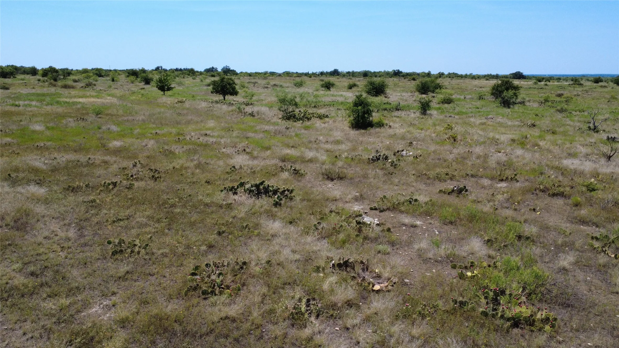 Unimproved Land For Sale in Brown County , 0000 County Road 161, Bangs, Texas 76823, 0, 0, Garage spaces, 0 Sqft, built in 0, Price $160,000, mls#21349045, Real Estate Agent in Bangs, Homes For Sale in Brown county, Homes For Sale in Bangs, Realtor in Bangs Texas, Real Estate Brokerage Independent Realty Texas, Luminita Cordes Realtor