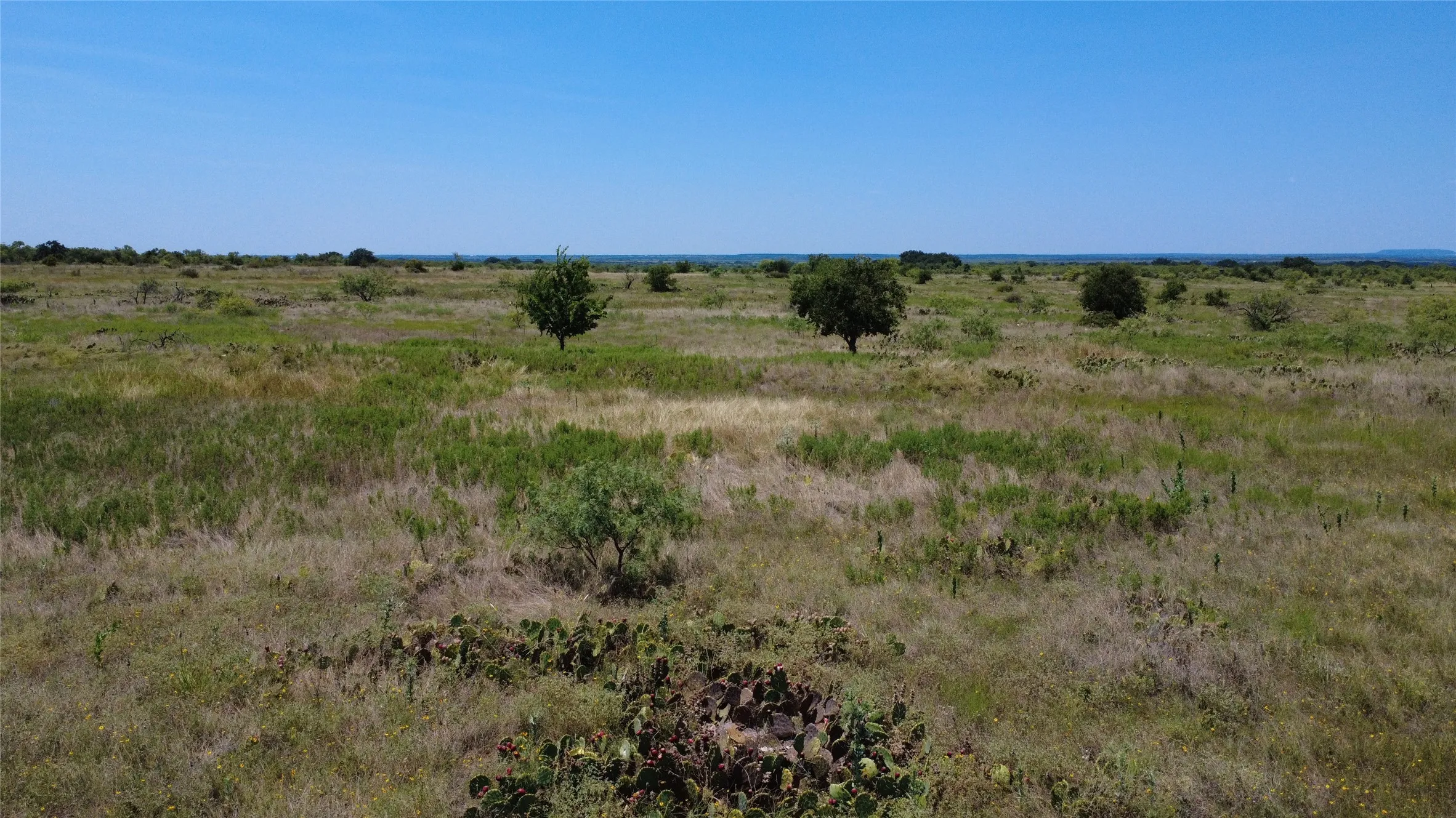 Unimproved Land For Sale in Brown County , 0000 County Road 161, Bangs, Texas 76823, 0, 0, Garage spaces, 0 Sqft, built in 0, Price $160,000, mls#21349045, Real Estate Agent in Bangs, Homes For Sale in Brown county, Homes For Sale in Bangs, Realtor in Bangs Texas, Real Estate Brokerage Independent Realty Texas, Luminita Cordes Realtor