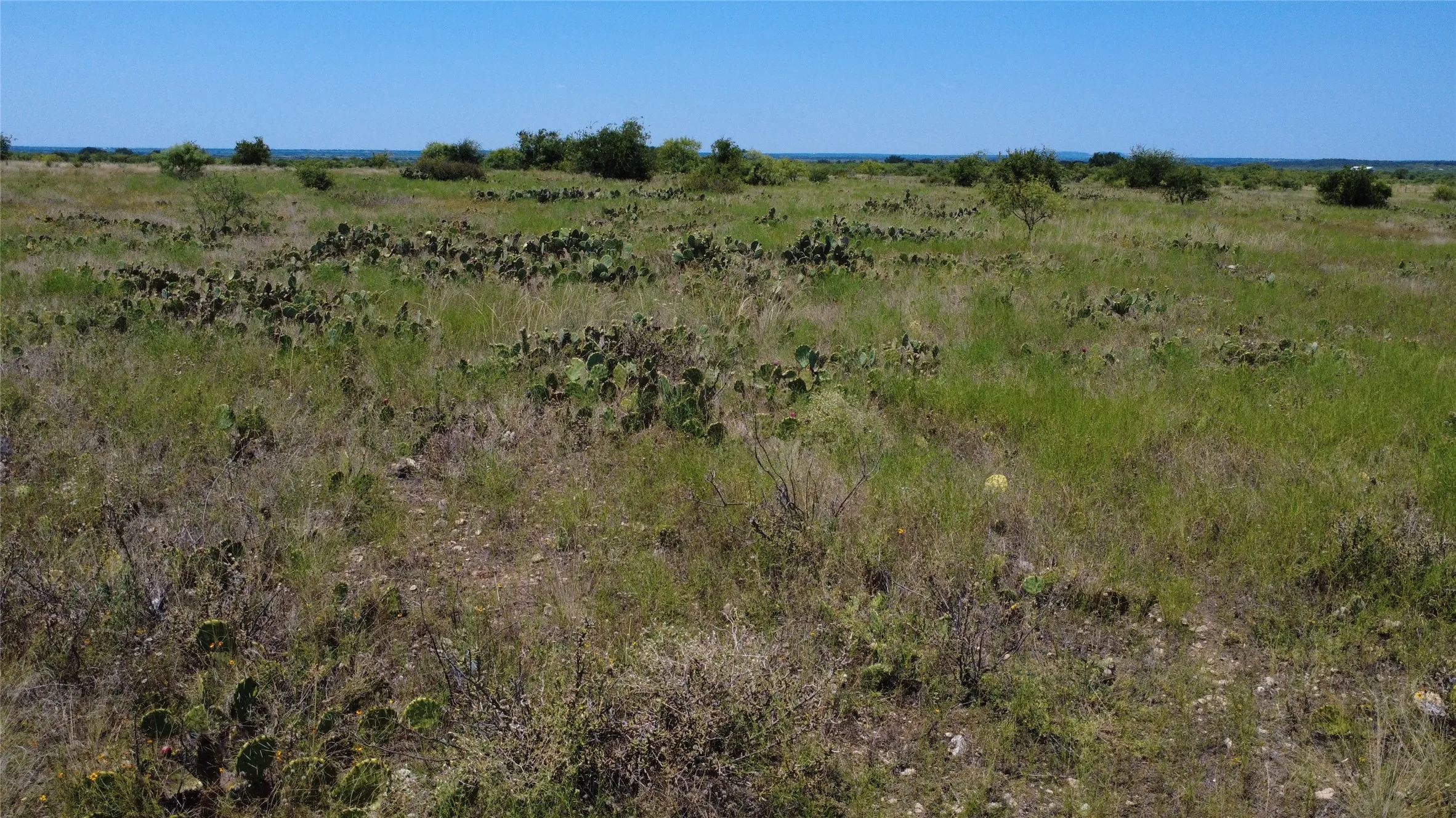 Unimproved Land For Sale in Brown County , 0000 County Road 161, Bangs, Texas 76823, 0, 0, Garage spaces, 0 Sqft, built in 0, Price $160,000, mls#21349045, Real Estate Agent in Bangs, Homes For Sale in Brown county, Homes For Sale in Bangs, Realtor in Bangs Texas, Real Estate Brokerage Independent Realty Texas, Luminita Cordes Realtor