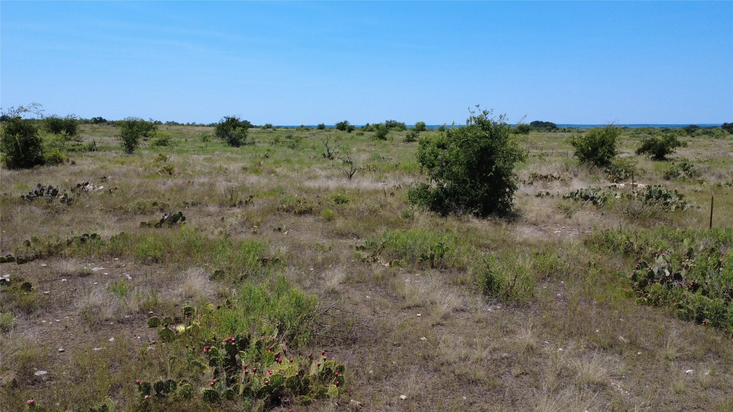 Unimproved Land For Sale in Brown County , 0000 County Road 161, Bangs, Texas 76823, 0, 0, Garage spaces, 0 Sqft, built in 0, Price $160,000, mls#21349045, Real Estate Agent in Bangs, Homes For Sale in Brown county, Homes For Sale in Bangs, Realtor in Bangs Texas, Real Estate Brokerage Independent Realty Texas, Luminita Cordes Realtor