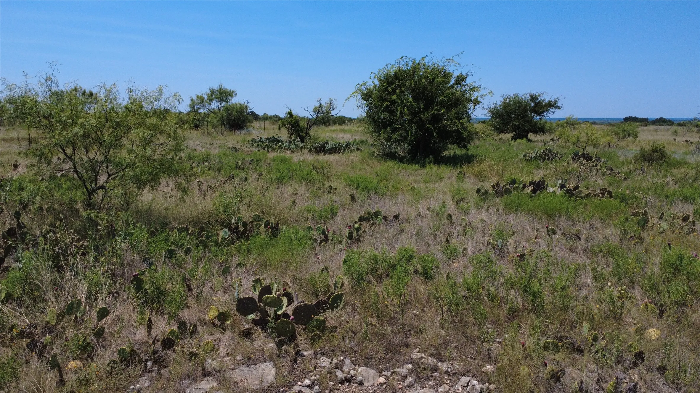 Unimproved Land For Sale in Brown County , 0000 County Road 161, Bangs, Texas 76823, 0, 0, Garage spaces, 0 Sqft, built in 0, Price $160,000, mls#21349045, Real Estate Agent in Bangs, Homes For Sale in Brown county, Homes For Sale in Bangs, Realtor in Bangs Texas, Real Estate Brokerage Independent Realty Texas, Luminita Cordes Realtor