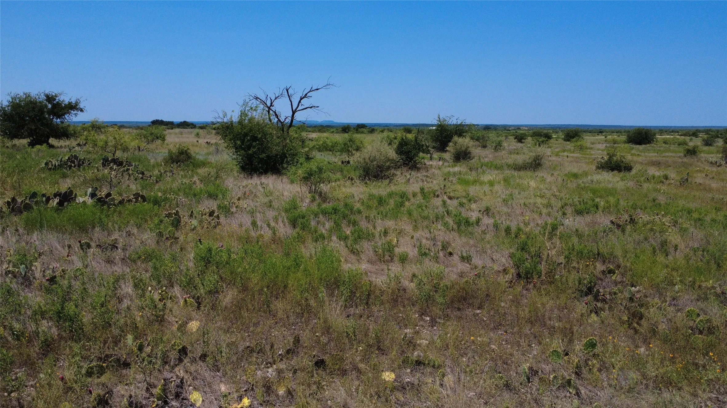 Unimproved Land For Sale in Brown County , 0000 County Road 161, Bangs, Texas 76823, 0, 0, Garage spaces, 0 Sqft, built in 0, Price $160,000, mls#21349045, Real Estate Agent in Bangs, Homes For Sale in Brown county, Homes For Sale in Bangs, Realtor in Bangs Texas, Real Estate Brokerage Independent Realty Texas, Luminita Cordes Realtor