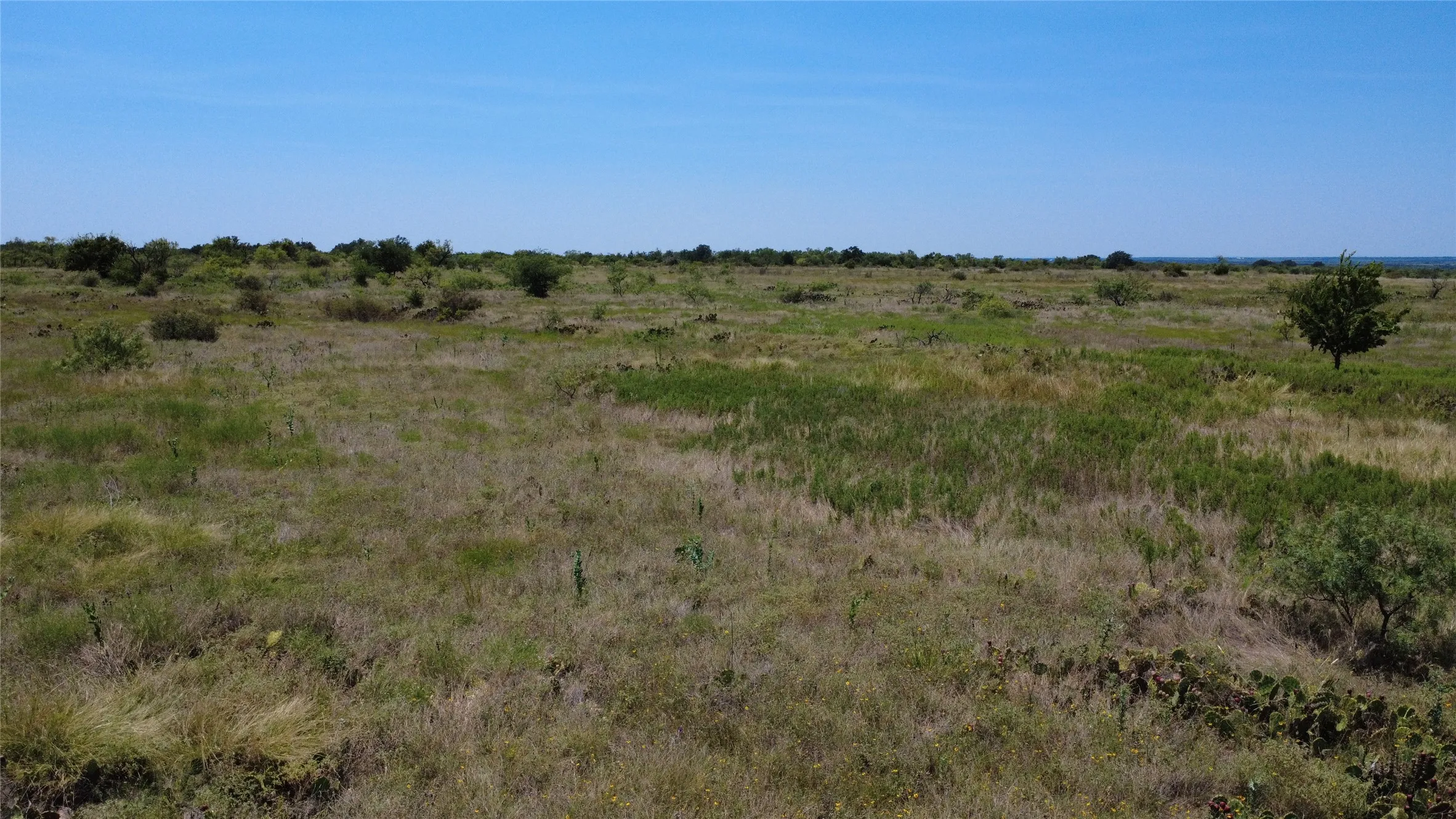 Unimproved Land For Sale in Brown County , 0000 County Road 161, Bangs, Texas 76823, 0, 0, Garage spaces, 0 Sqft, built in 0, Price $160,000, mls#21349045, Real Estate Agent in Bangs, Homes For Sale in Brown county, Homes For Sale in Bangs, Realtor in Bangs Texas, Real Estate Brokerage Independent Realty Texas, Luminita Cordes Realtor