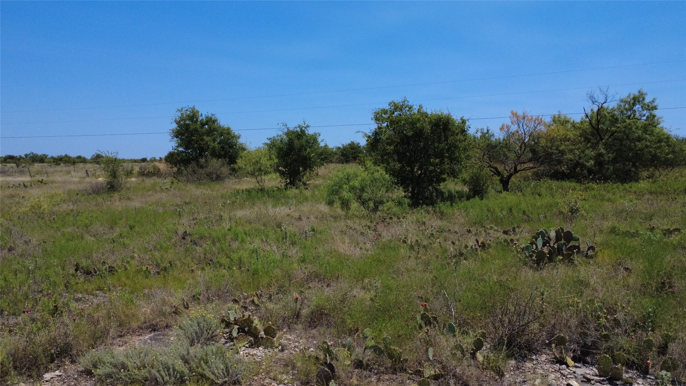 Unimproved Land For Sale in Brown County , 0000 County Road 161, Bangs, Texas 76823, 0, 0, Garage spaces, 0 Sqft, built in 0, Price $160,000, mls#21349045, Real Estate Agent in Bangs, Homes For Sale in Brown county, Homes For Sale in Bangs, Realtor in Bangs Texas, Real Estate Brokerage Independent Realty Texas, Luminita Cordes Realtor