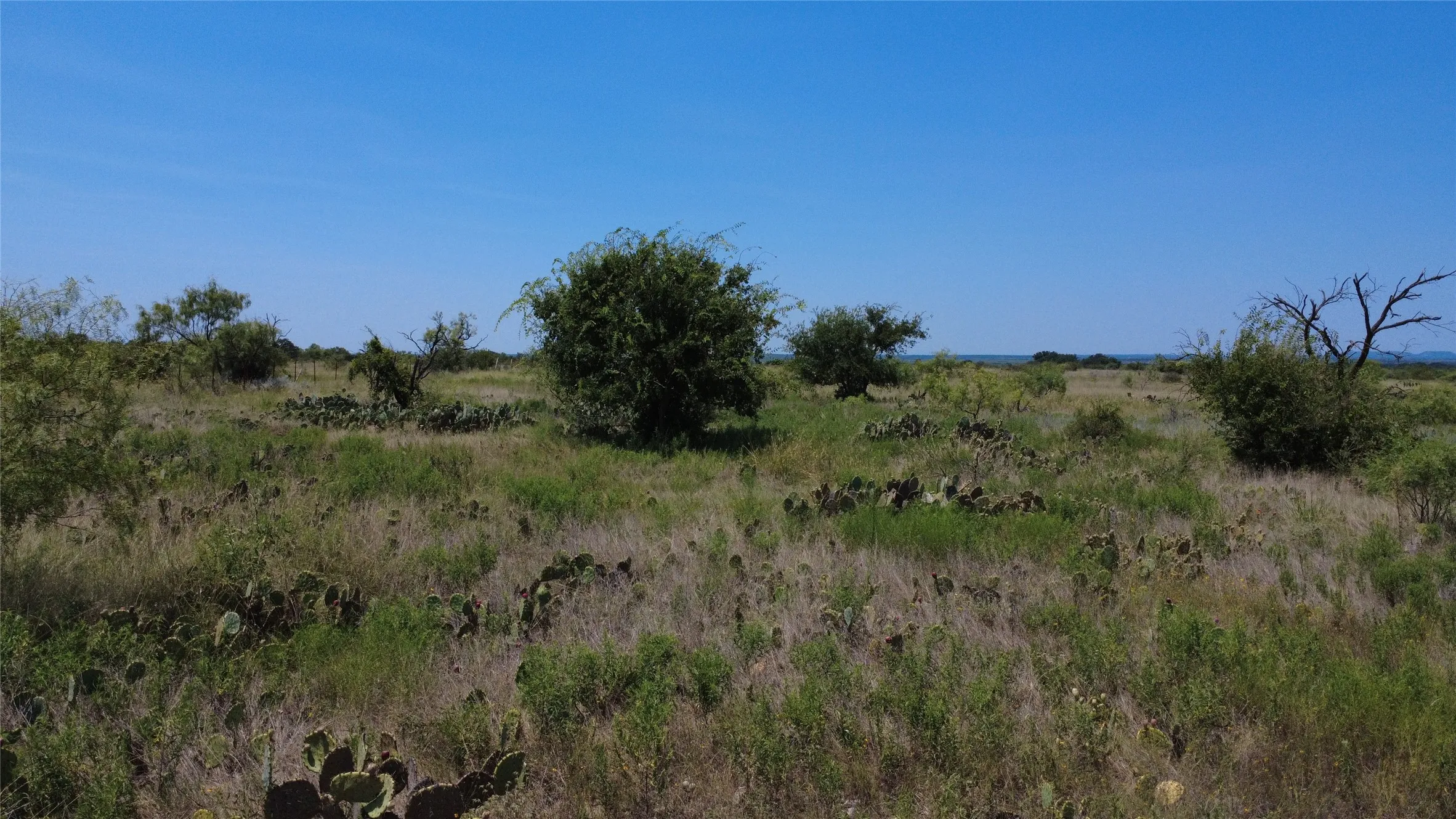 Unimproved Land For Sale in Brown County , 0000 County Road 161, Bangs, Texas 76823, 0, 0, Garage spaces, 0 Sqft, built in 0, Price $160,000, mls#21349045, Real Estate Agent in Bangs, Homes For Sale in Brown county, Homes For Sale in Bangs, Realtor in Bangs Texas, Real Estate Brokerage Independent Realty Texas, Luminita Cordes Realtor