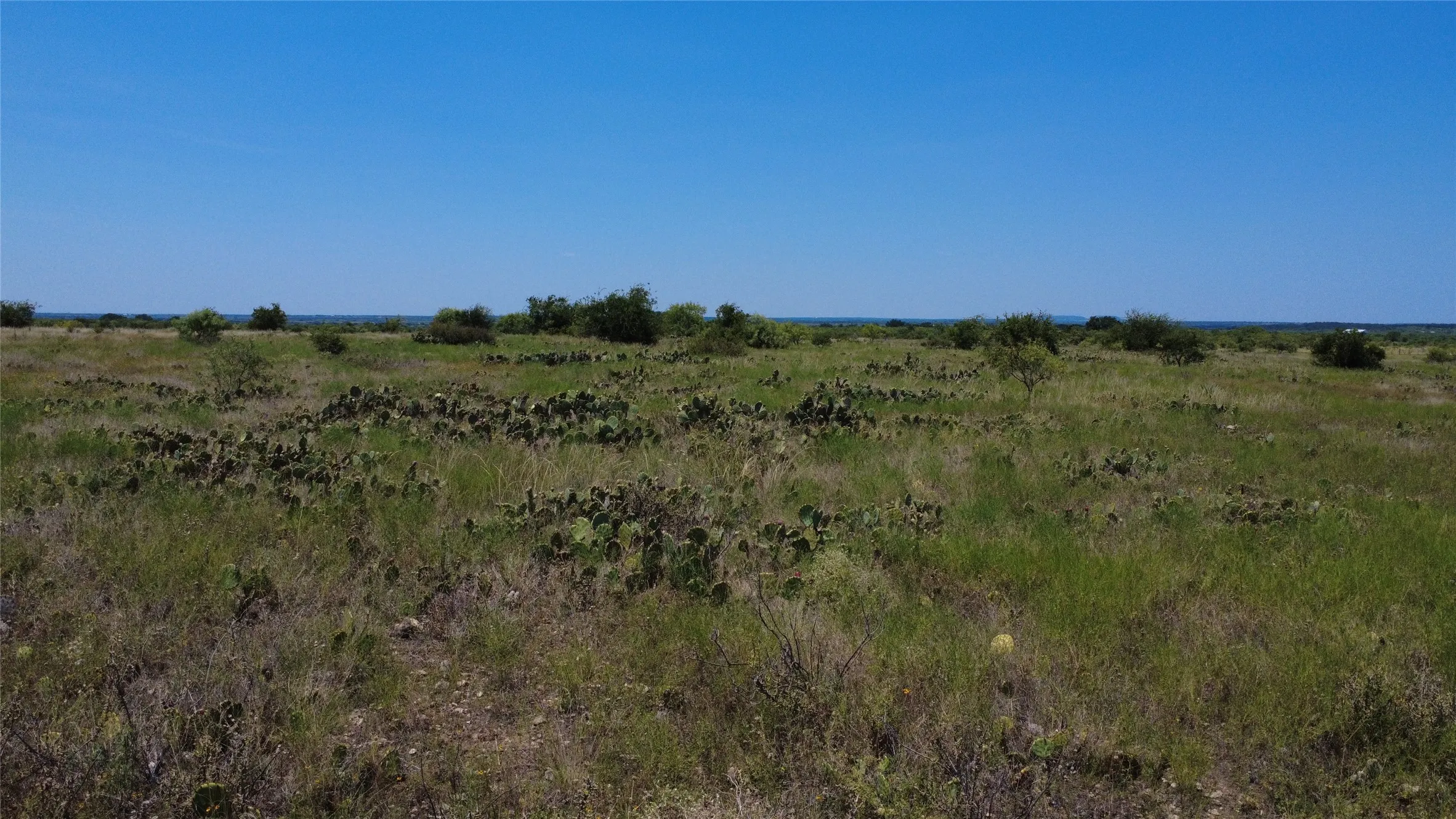 Unimproved Land For Sale in Brown County , 0000 County Road 161, Bangs, Texas 76823, 0, 0, Garage spaces, 0 Sqft, built in 0, Price $160,000, mls#21349045, Real Estate Agent in Bangs, Homes For Sale in Brown county, Homes For Sale in Bangs, Realtor in Bangs Texas, Real Estate Brokerage Independent Realty Texas, Luminita Cordes Realtor