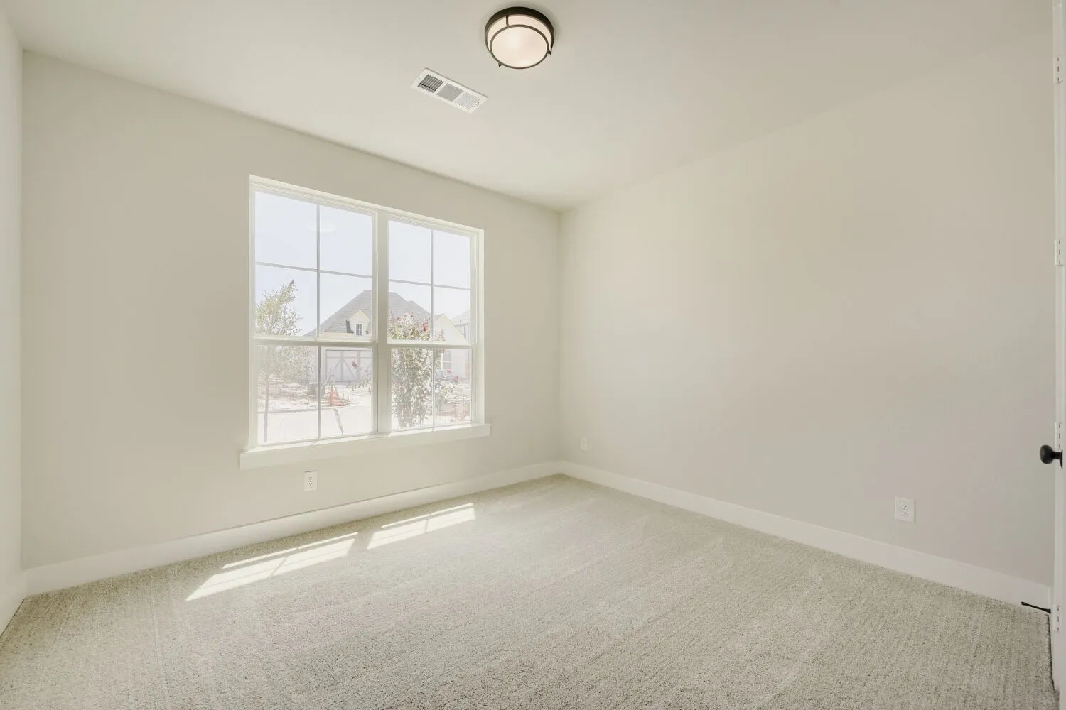 Carpeted room featuring a double window, overhead flush mount light fixture, and neutral wall tones