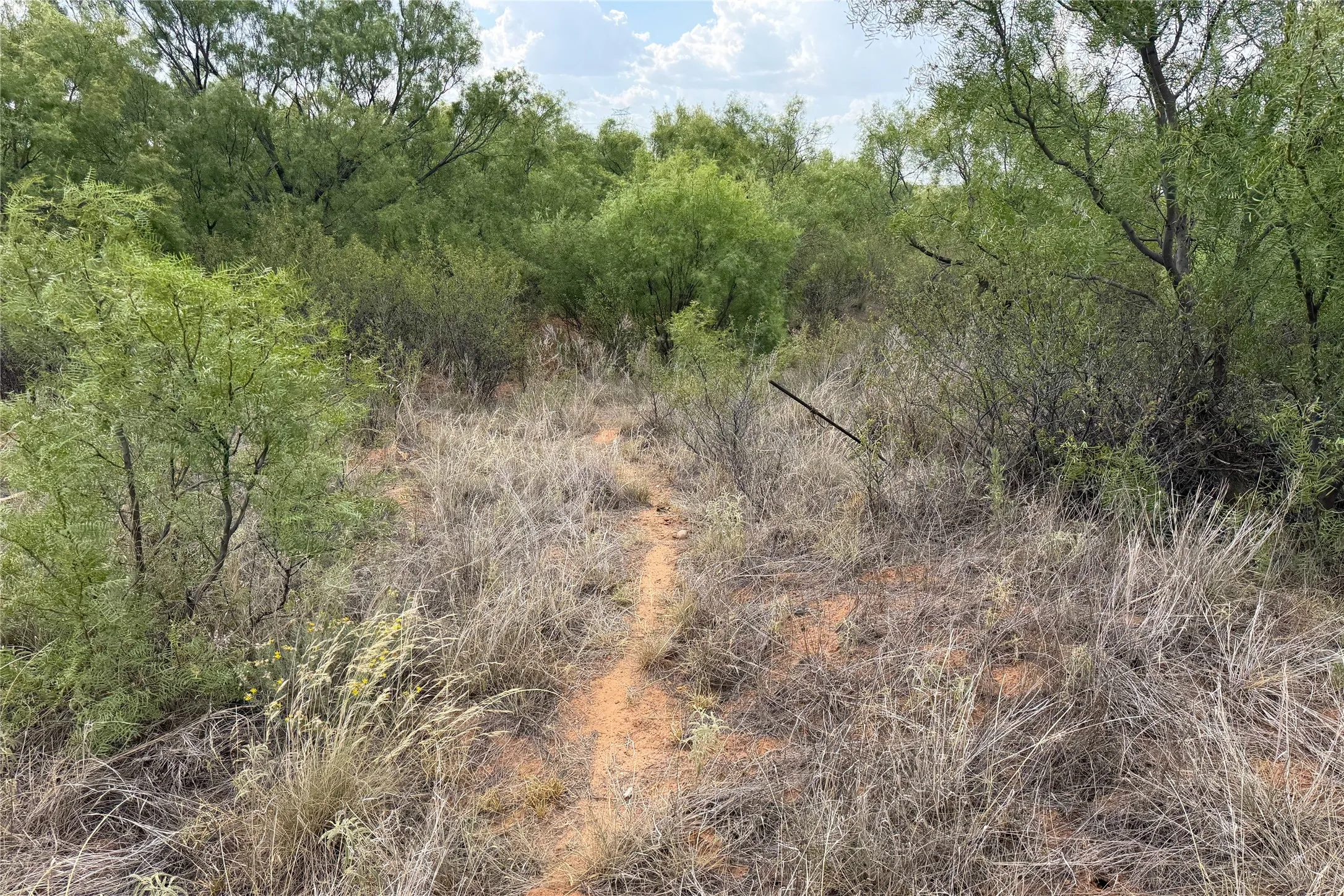 Ranch For Sale in Dickens County , TBD State Highway 70, Dickens, Texas 79229, 0, 0, Garage spaces, 0 Sqft, built in 0, mls#21349075, Real Estate Agent in Dickens, Homes For Sale in Dickens county, Homes For Sale in Dickens, Realtor in Dickens Texas, Real Estate Brokerage Independent Realty Texas, Luminita Cordes Realtor