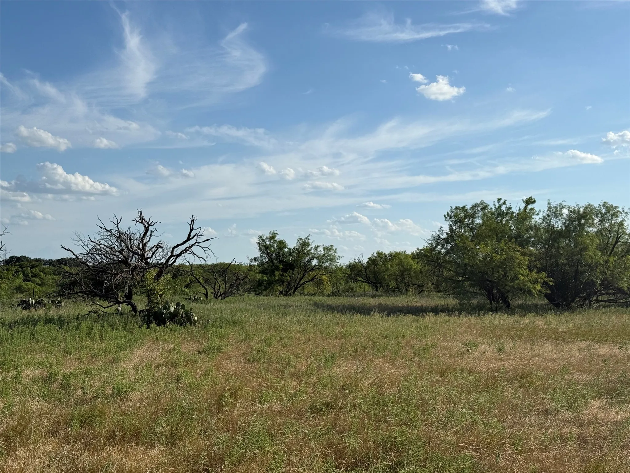Improved Land For Sale in Young County , TBD Turtle Hole Road, Graham, Texas 76450, 0, 0, Garage spaces, 0 Sqft, built in 0, Price $380,000, mls#21349118, Real Estate Agent in Graham, Homes For Sale in Young county, Homes For Sale in Graham, Realtor in Graham Texas, Real Estate Brokerage Independent Realty Texas, Luminita Cordes Realtor